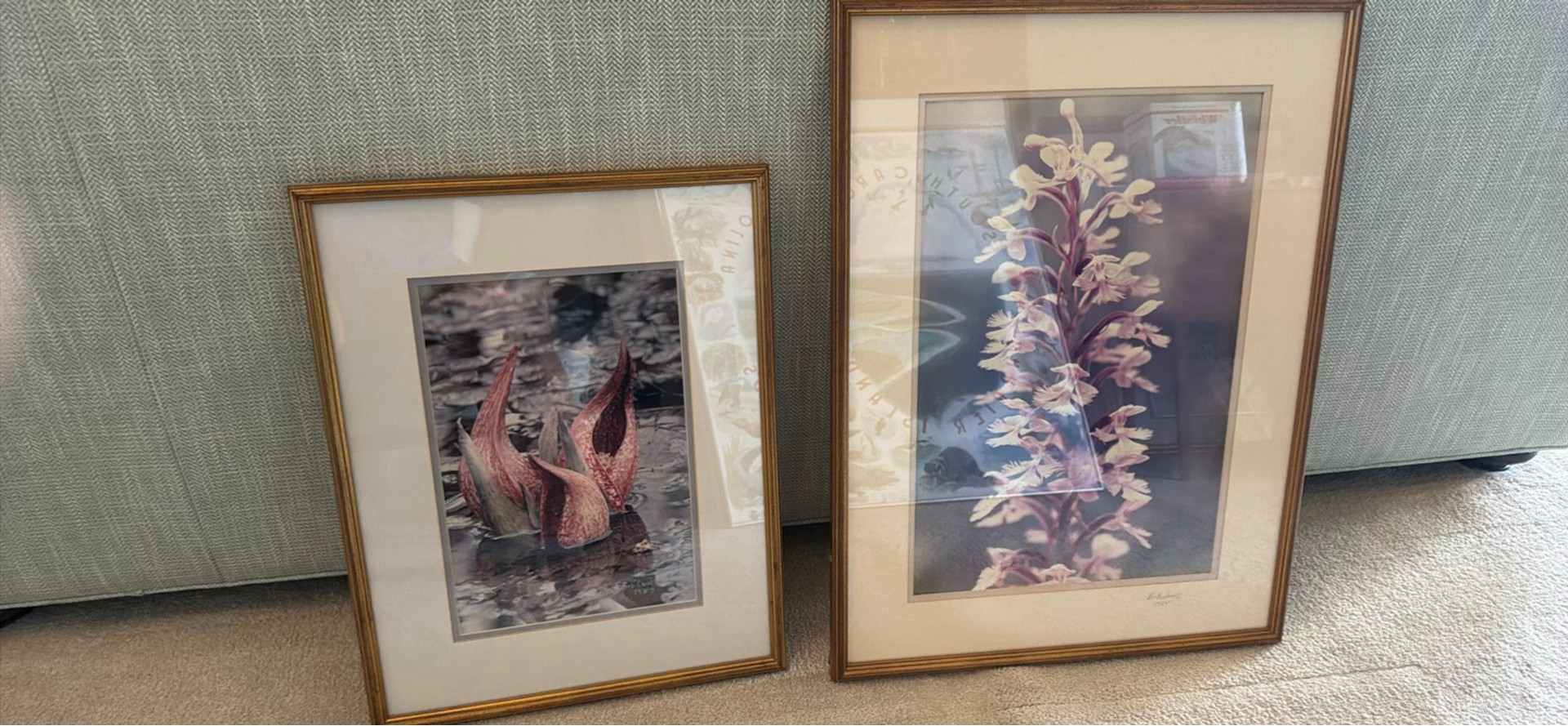 Two Framed Floral Art Prints - image 1 of 4