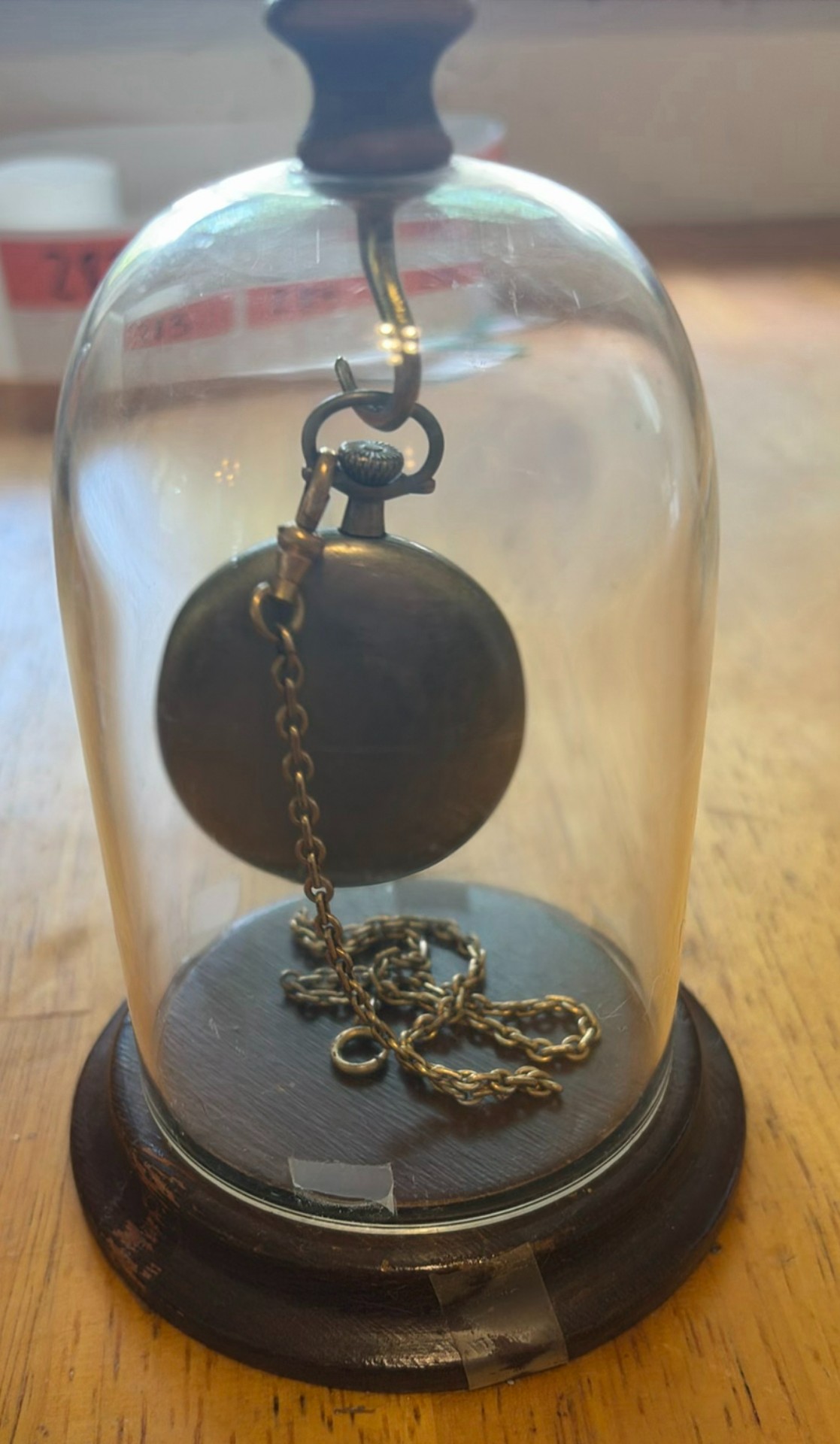 Antique pocket watch under glass dome - image 3 of 3