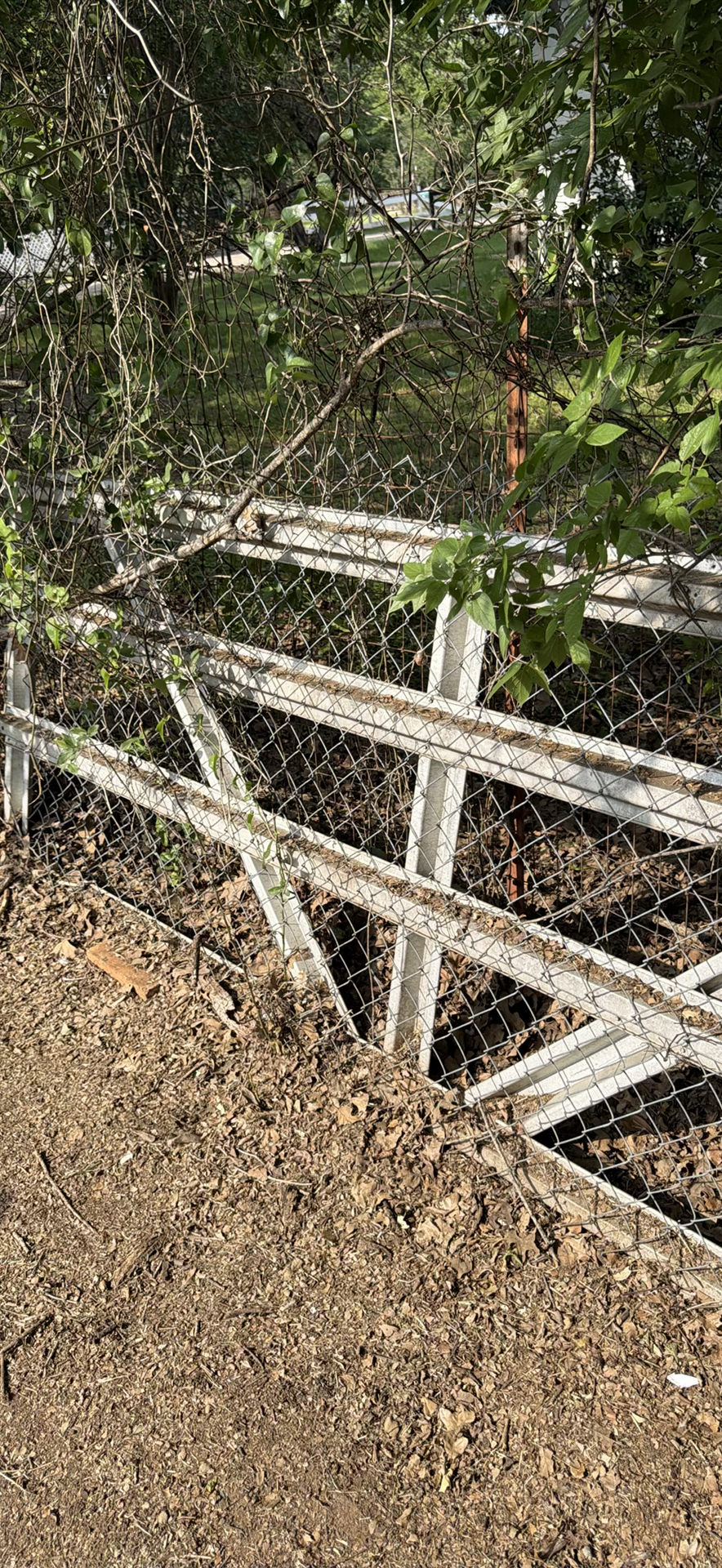Metal fence panels and gate frames - image 3 of 3
