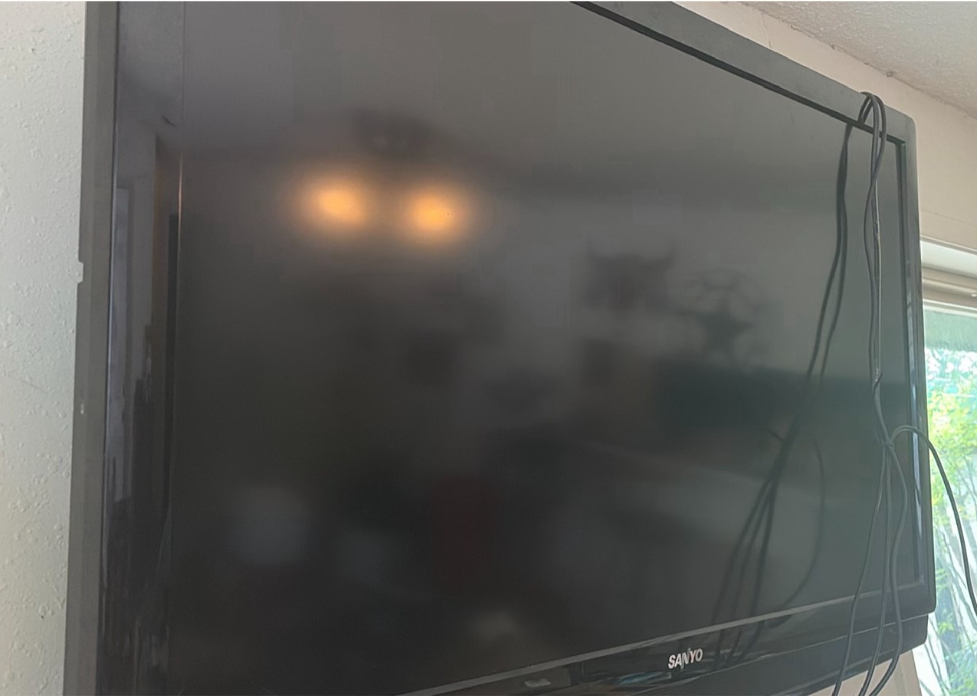 Sanyo flat-screen television - image 4 of 4