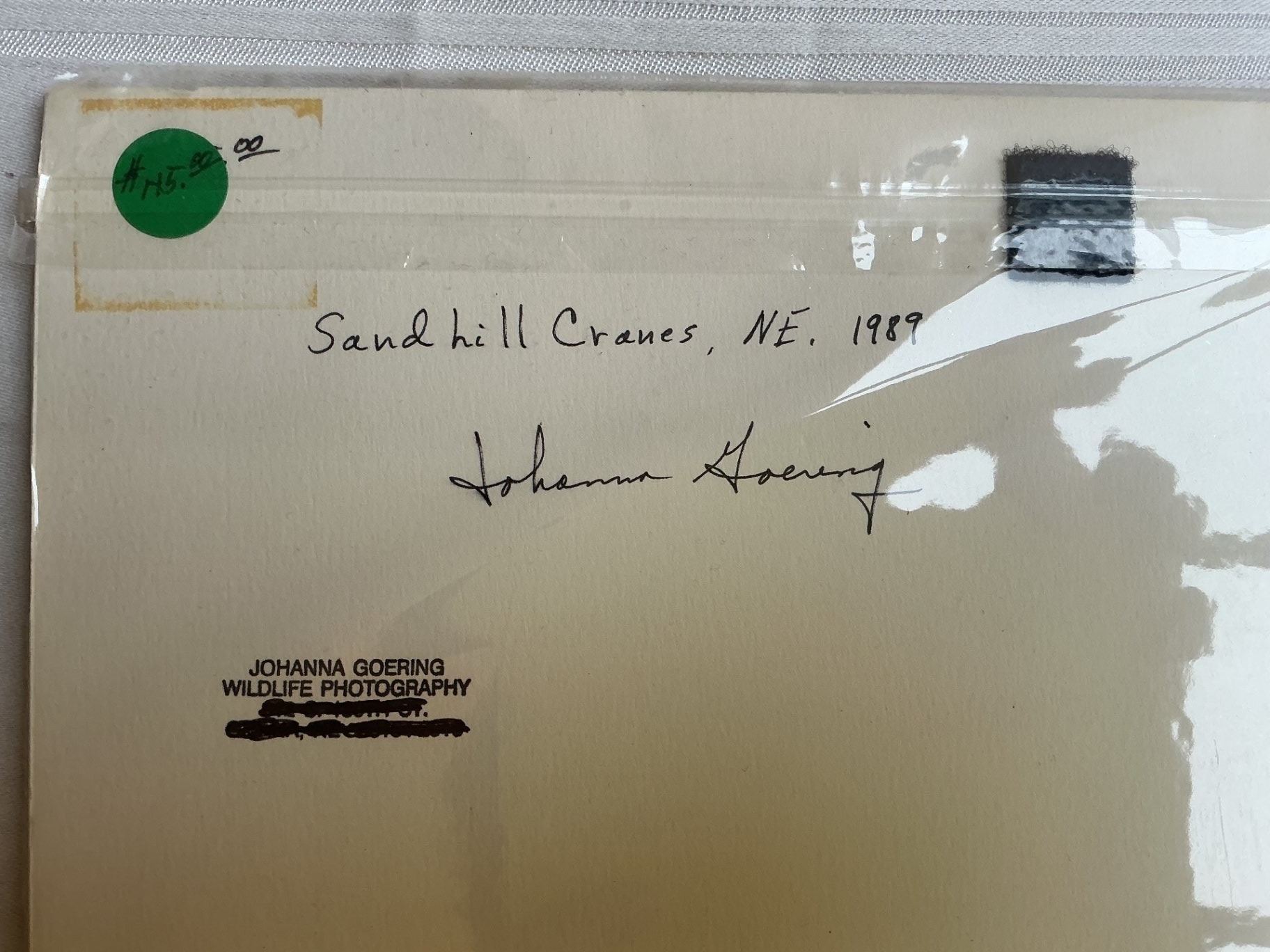 Matted Photos - image 7 of 9