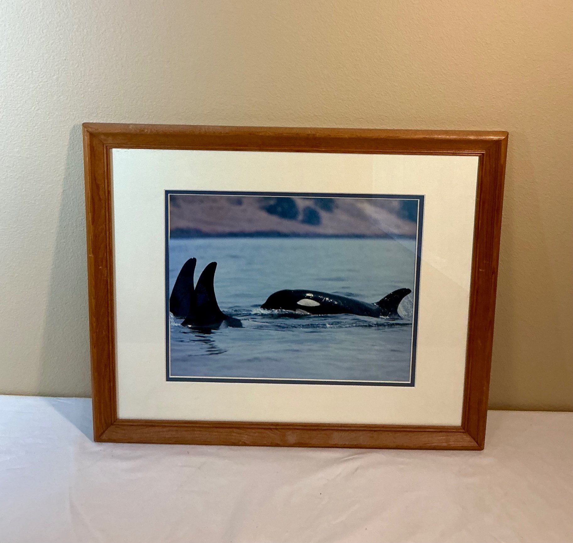 4 Framed Posters celebrating the PNW - image 5 of 5