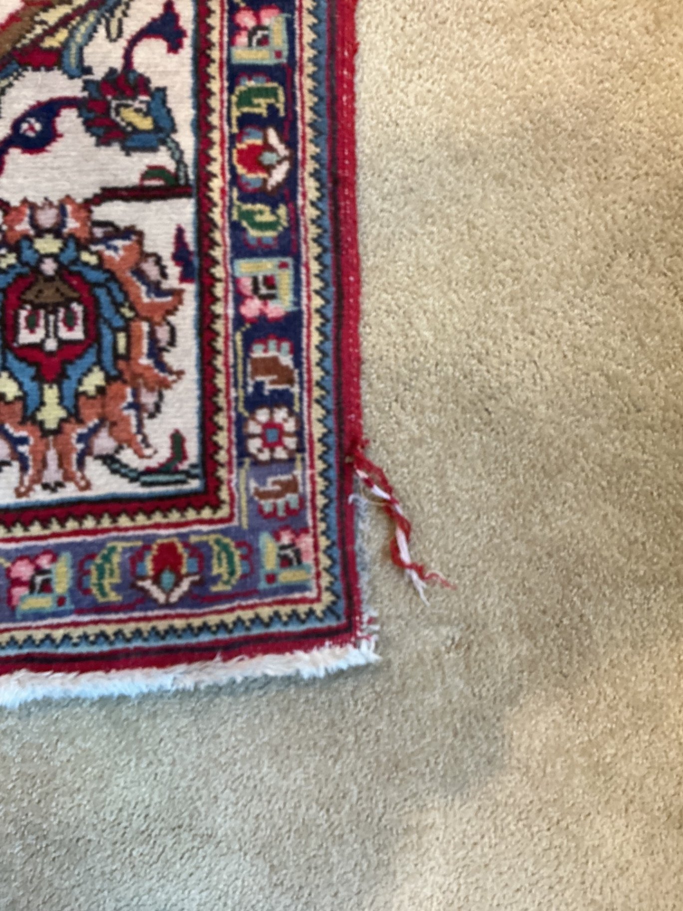 Large ‘Persian’ area Rug  - image 3 of 7