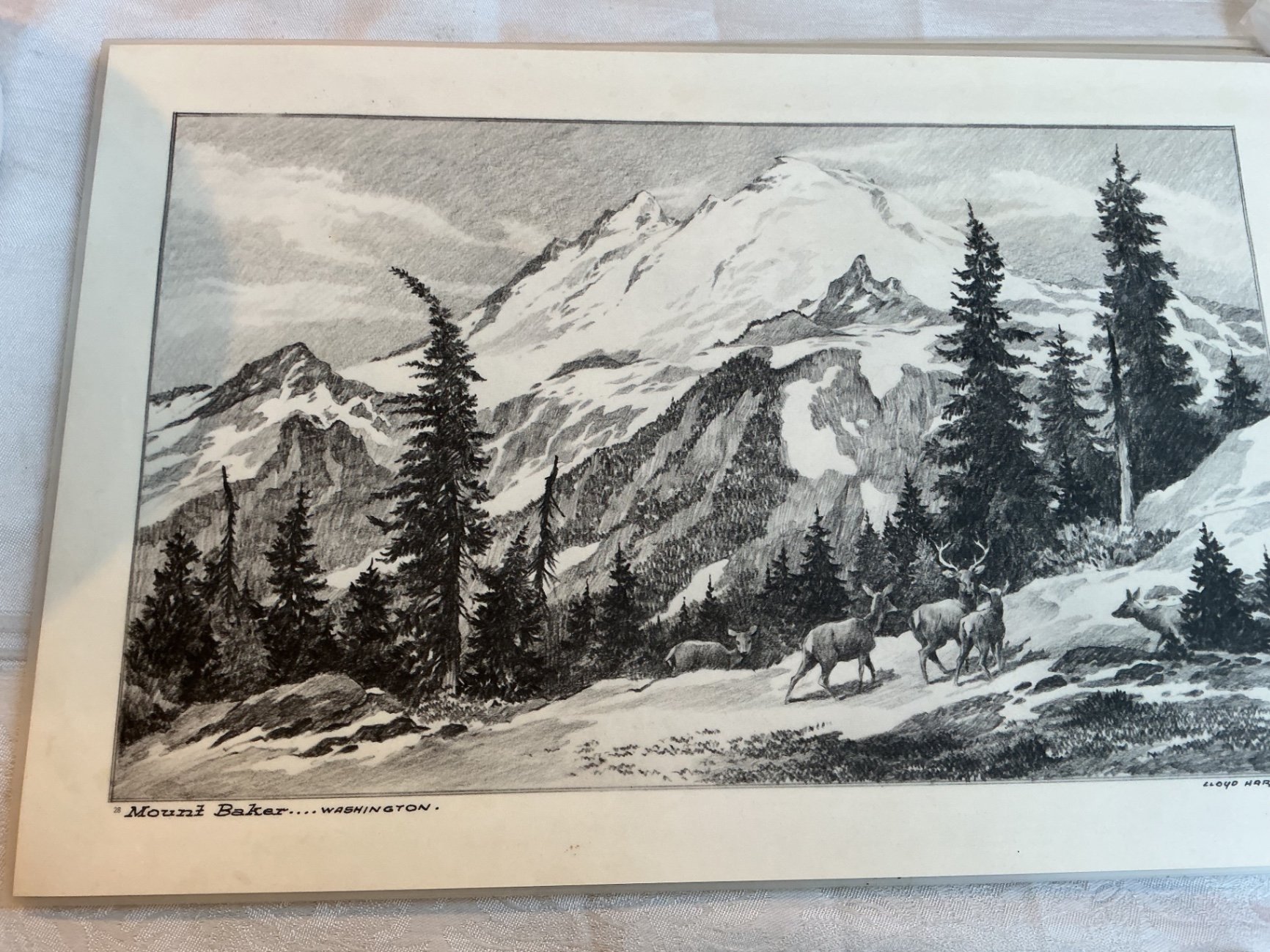 Kitchen Collection  - image 7 of 13