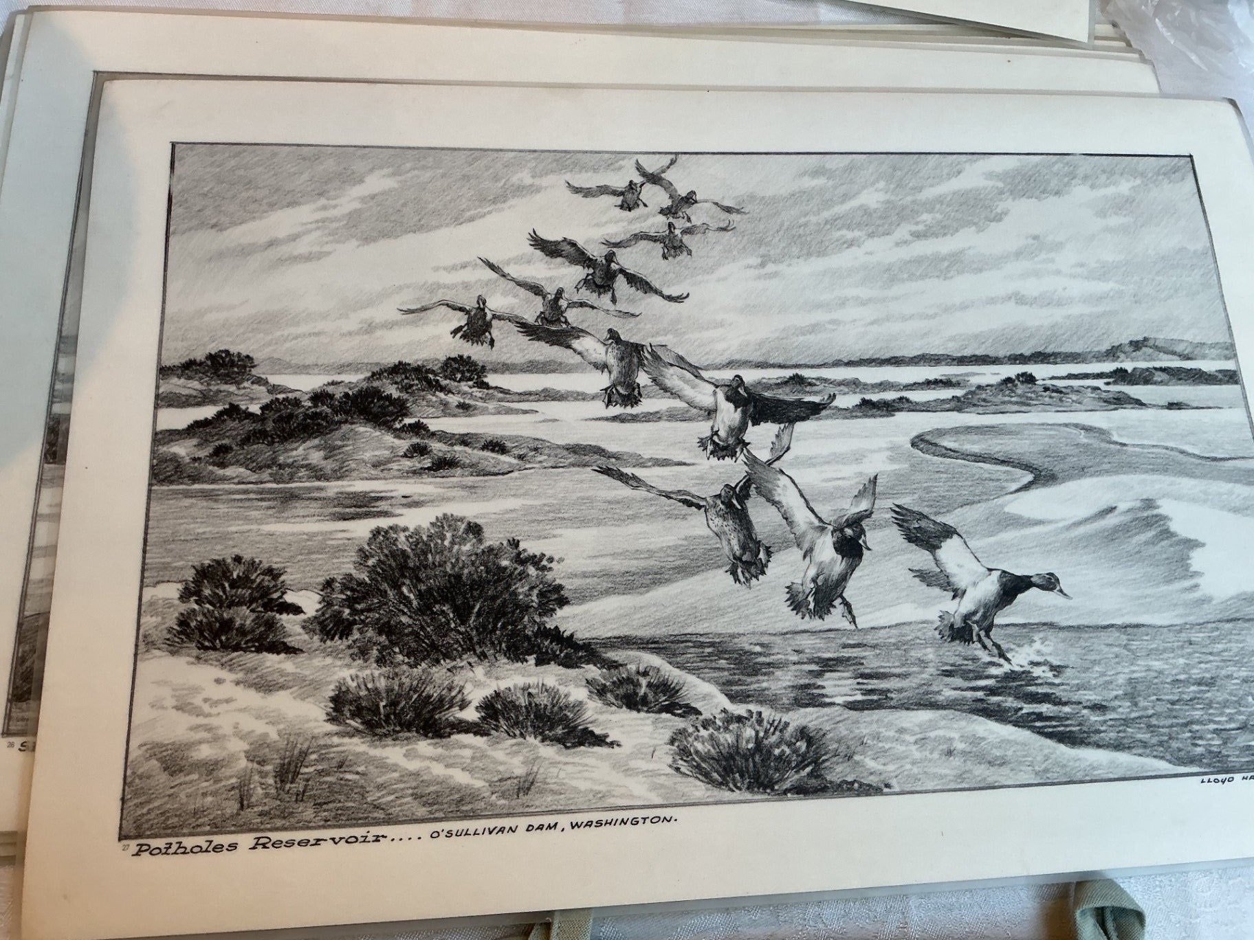 Kitchen Collection  - image 9 of 13