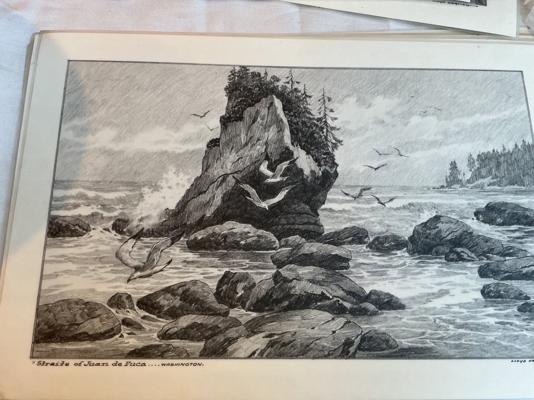 Kitchen Collection  - image 10 of 13