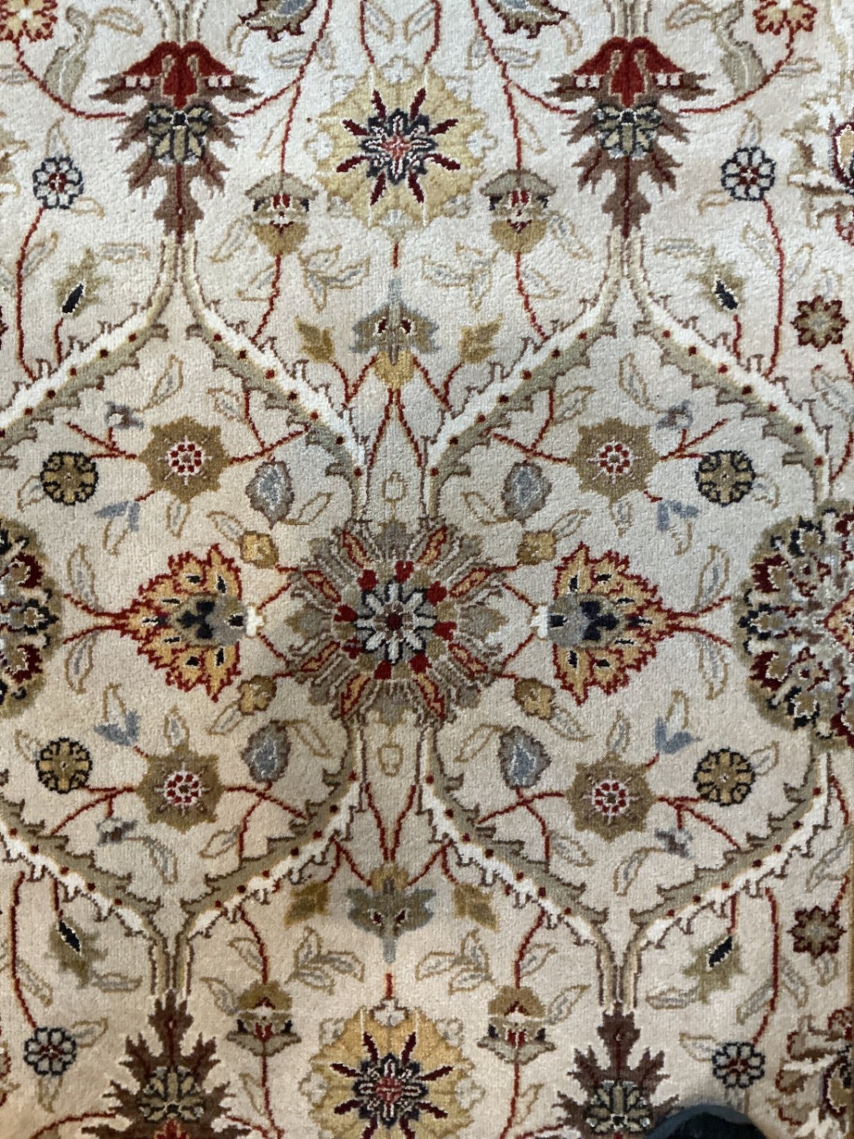 Small ‘Persian’ area rug - image 2 of 4
