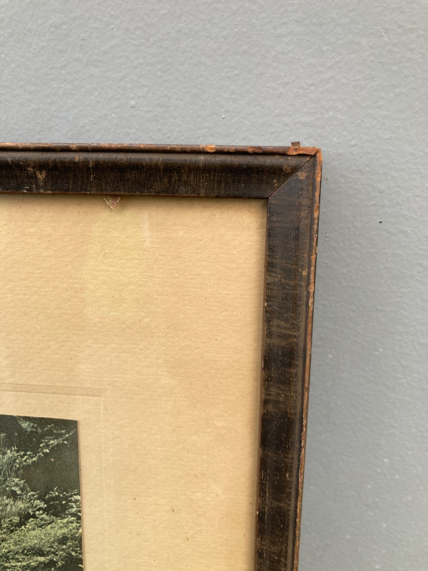 Framed landscape and nature art prints - image 4 of 10