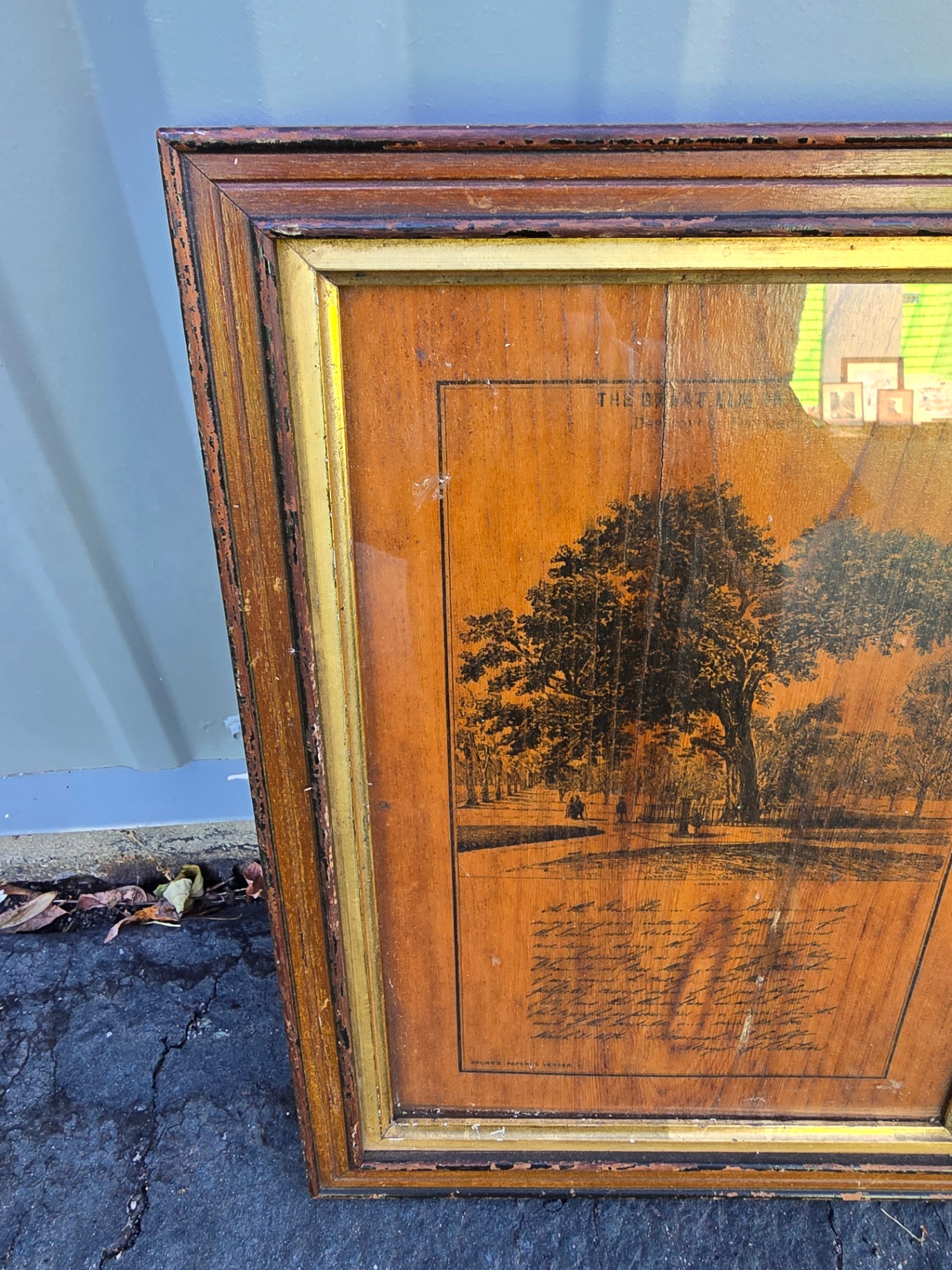 Framed landscape print titled 'The Great Elm on Boston Common' - image 3 of 11