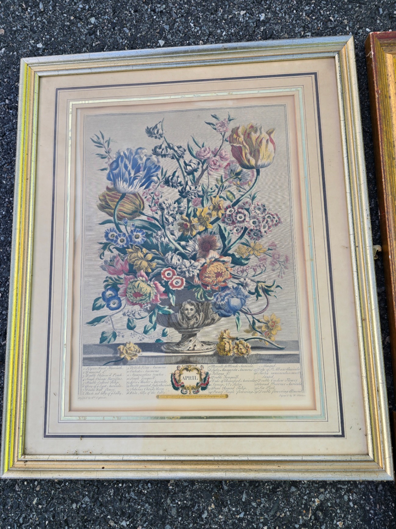 Assorted framed botanical prints - image 6 of 15