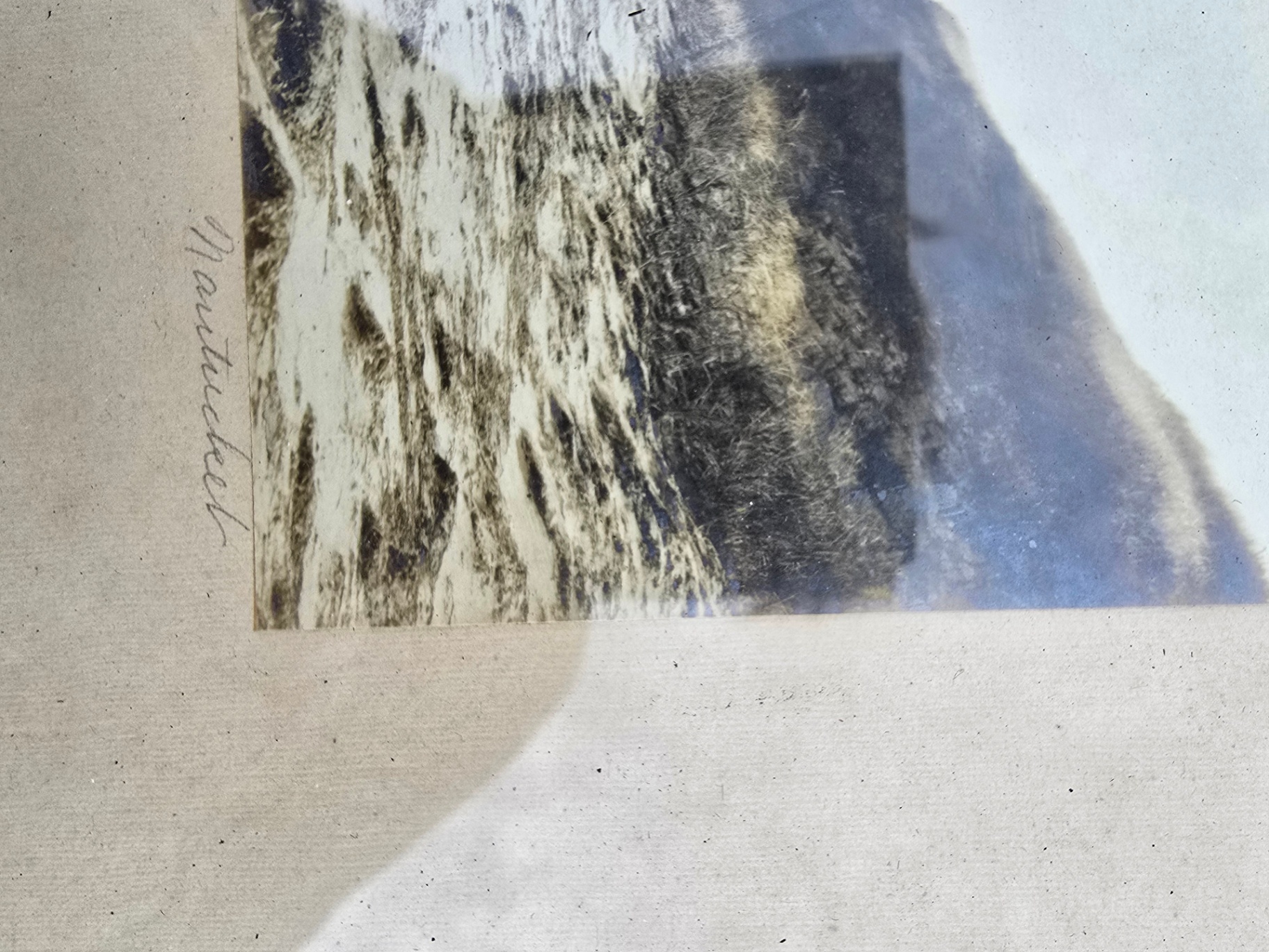 Set of framed landscape paintings - image 15 of 19