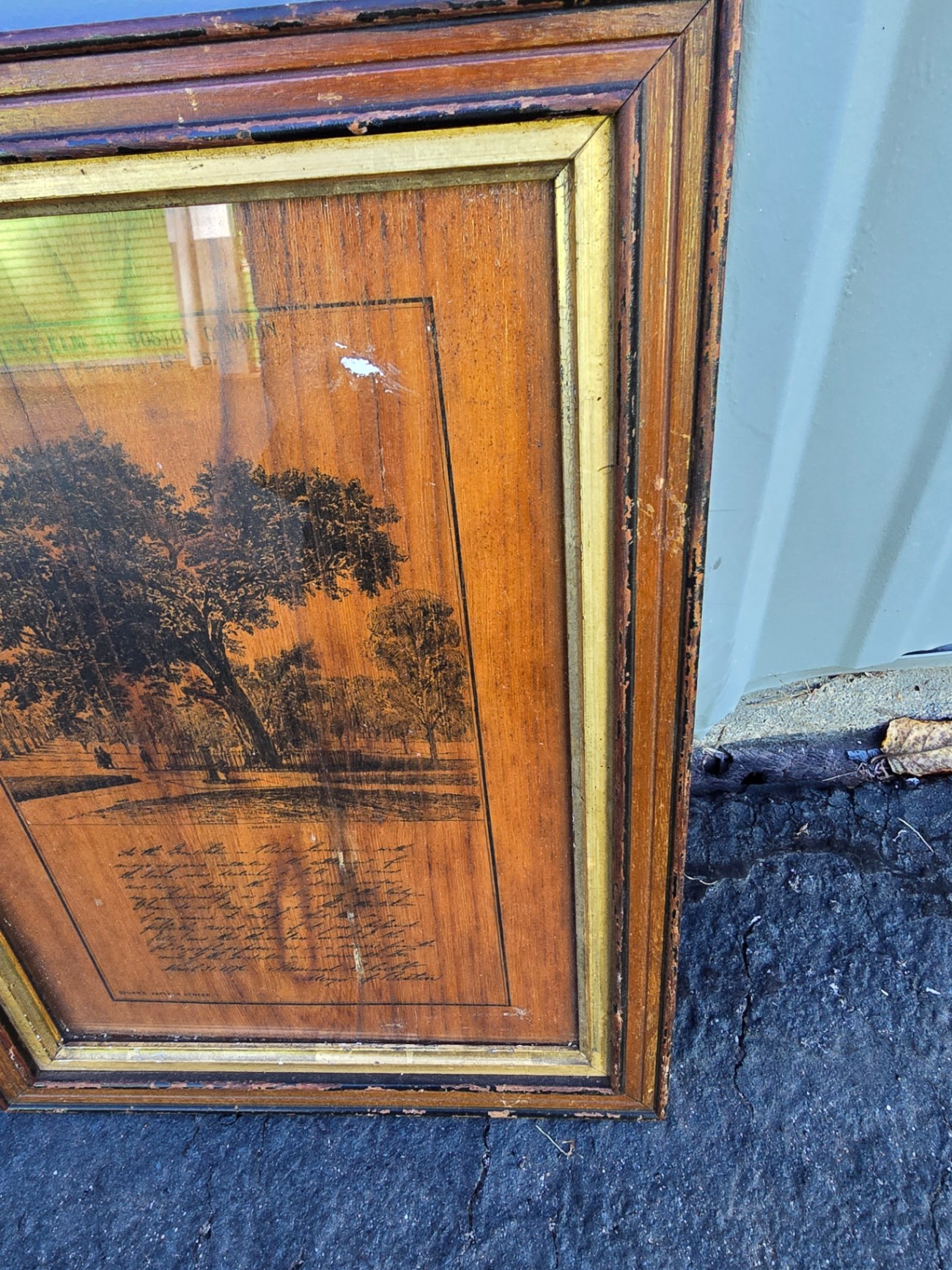 Framed landscape print titled 'The Great Elm on Boston Common' - image 7 of 11