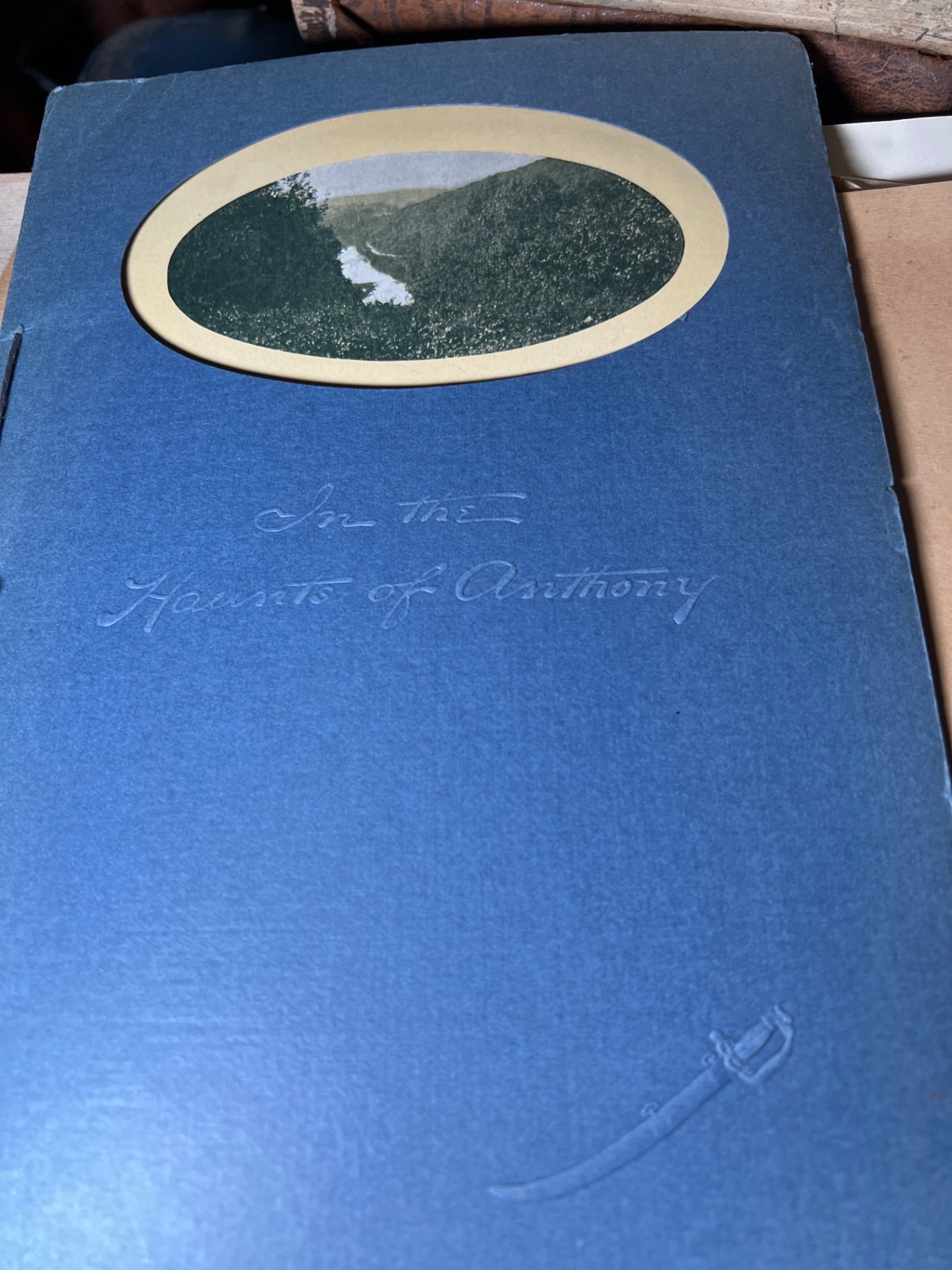 Collection of antique books and booklets - image 11 of 15