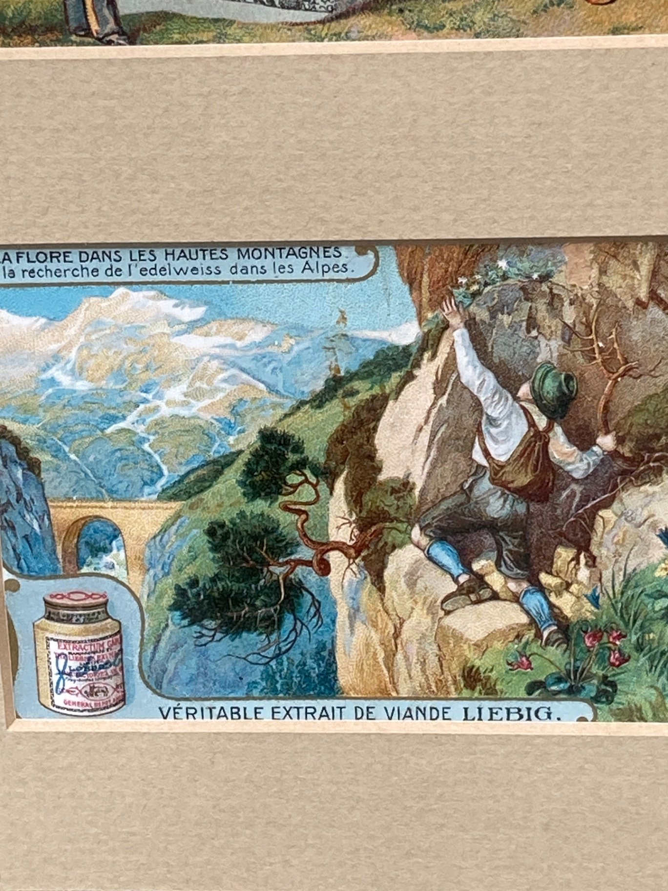 Framed vintage Liebig meat-extract advertisement prints with brass relief plaques - image 3 of 9