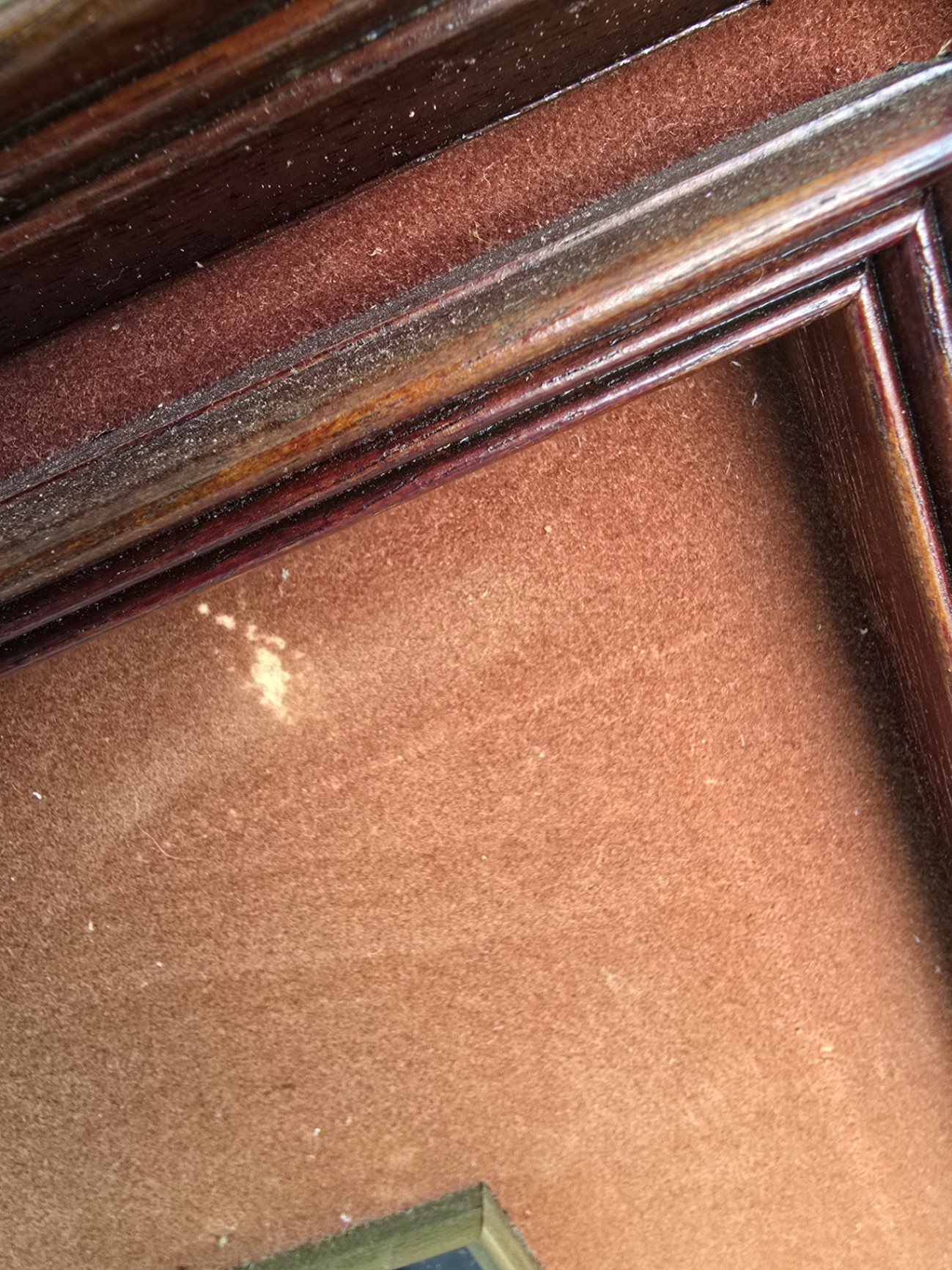 Framed Asian-style bird and blossom inlay art - image 7 of 10