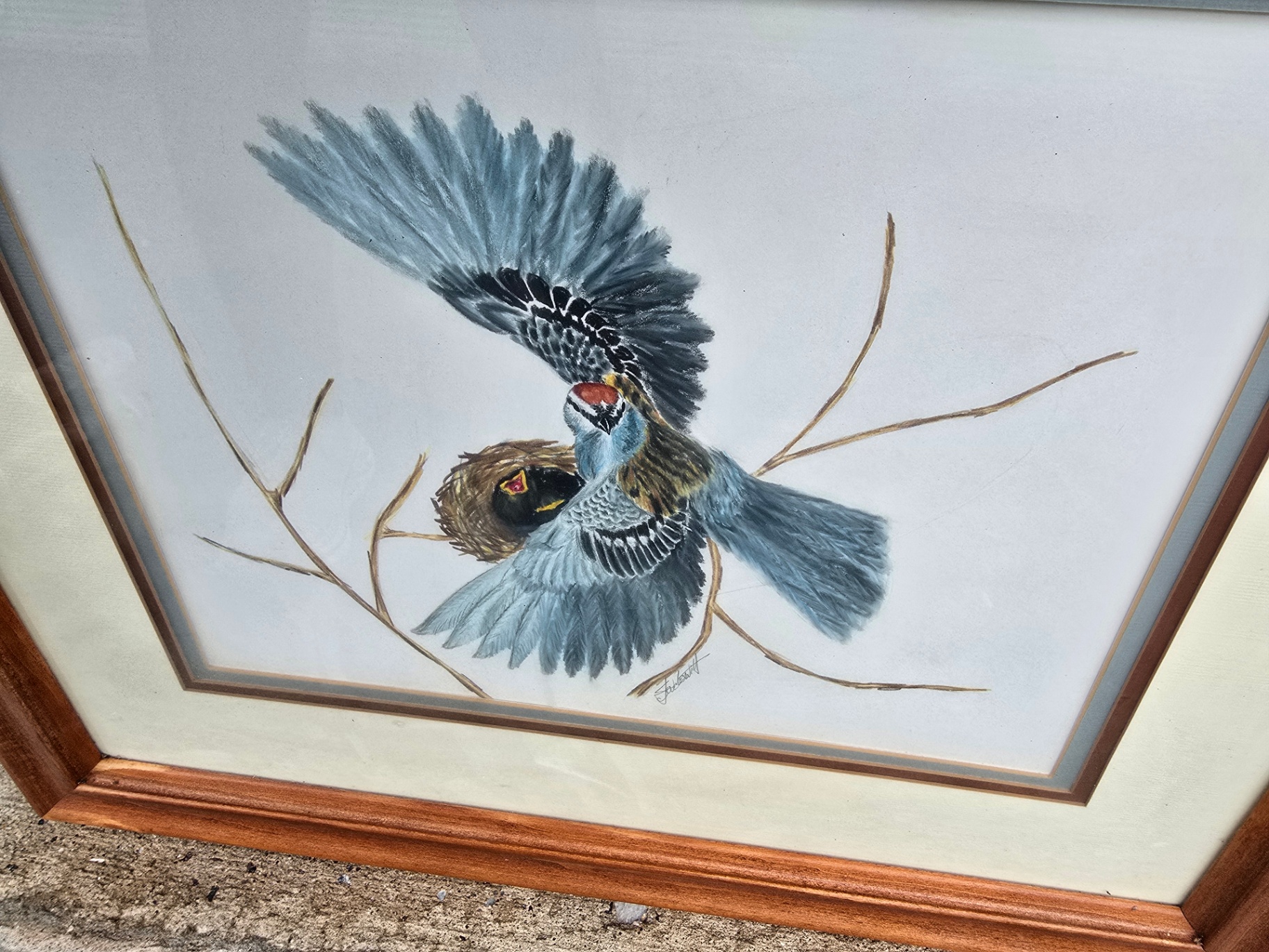 Framed blue bird artwork - image 2 of 8