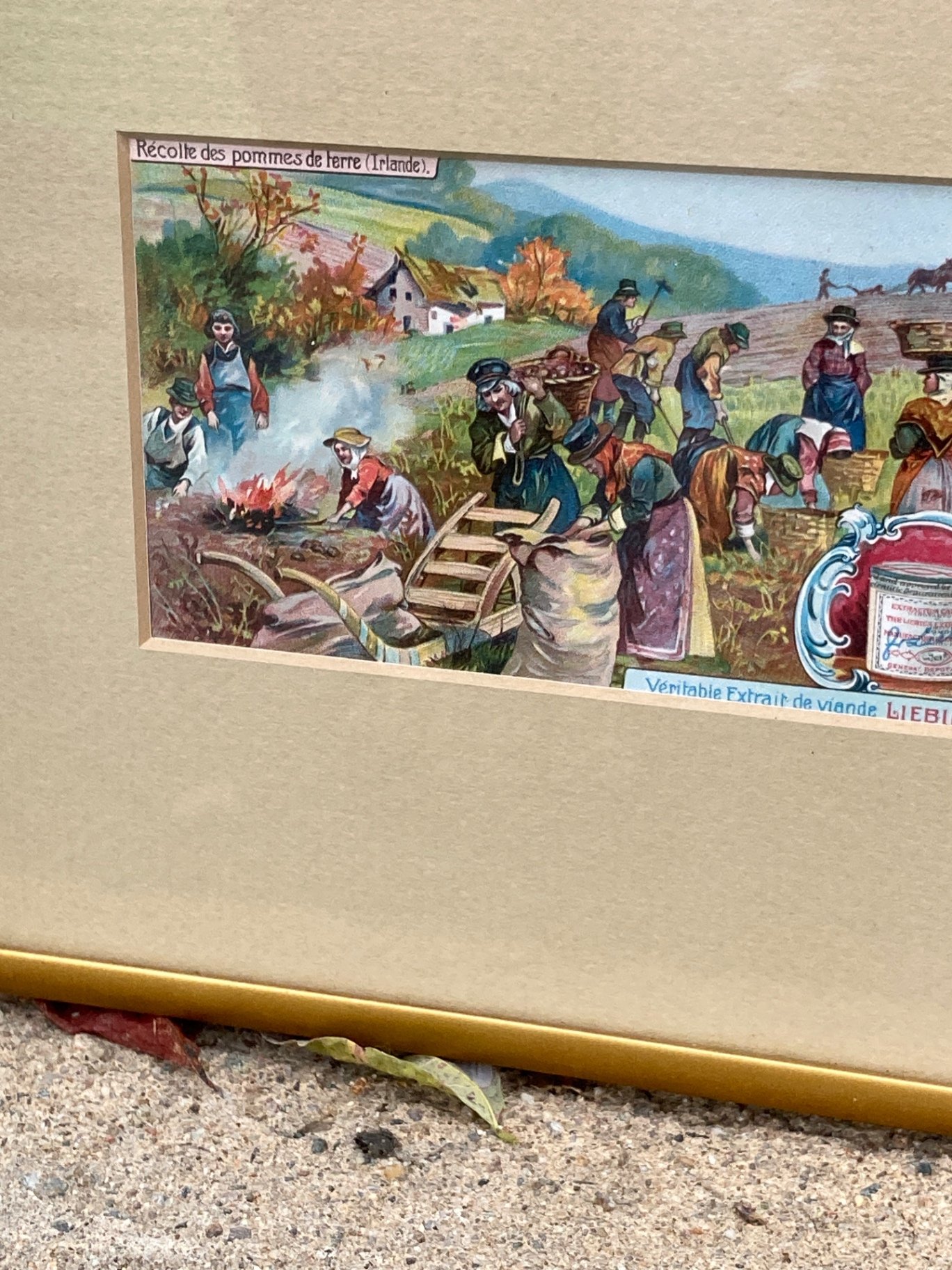 Framed vintage Liebig meat-extract advertisement prints with brass relief plaques - image 4 of 9