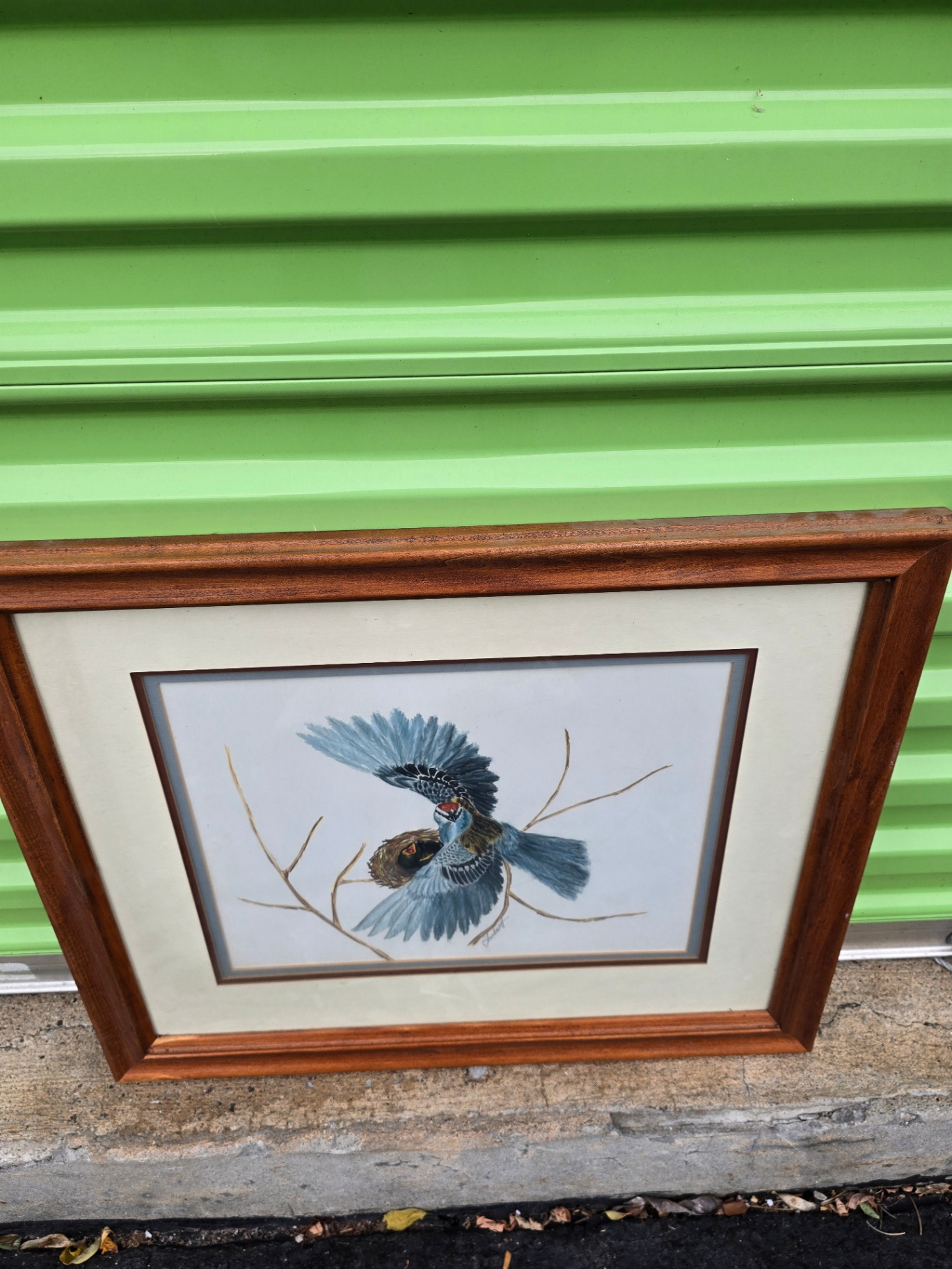 Framed blue bird artwork - image 1 of 8