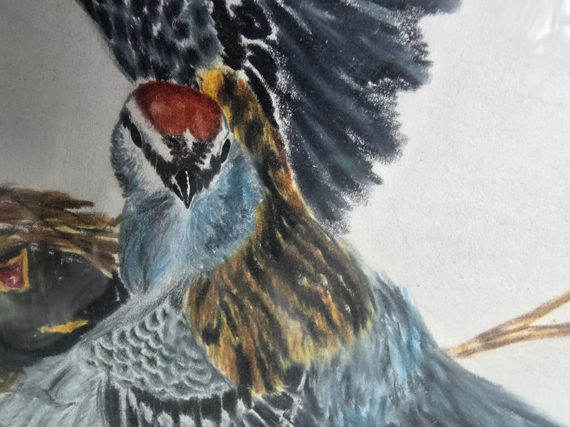 Framed blue bird artwork - image 3 of 8