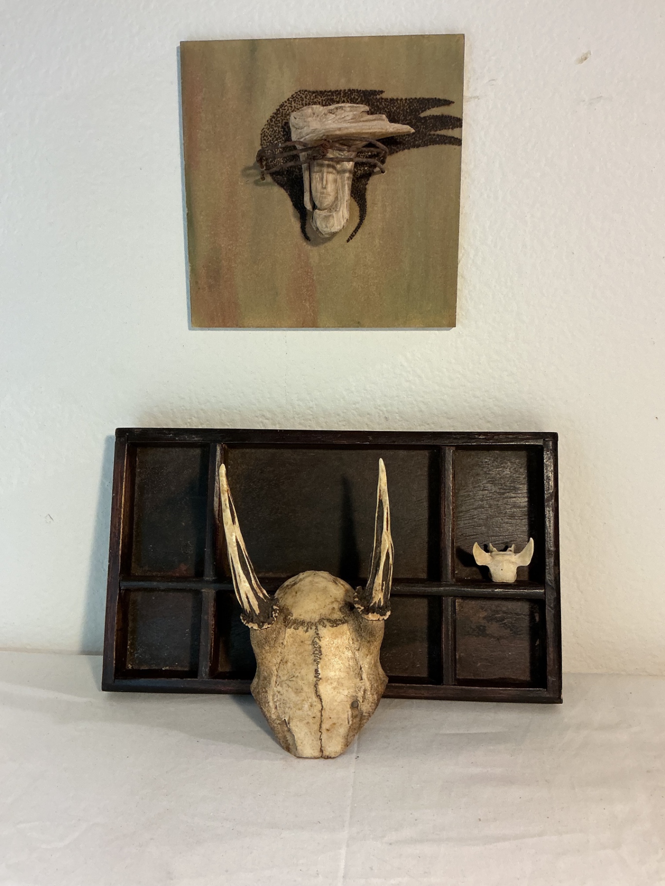 Taxidermy TIny Skull of Deer, et. - image 2 of 7
