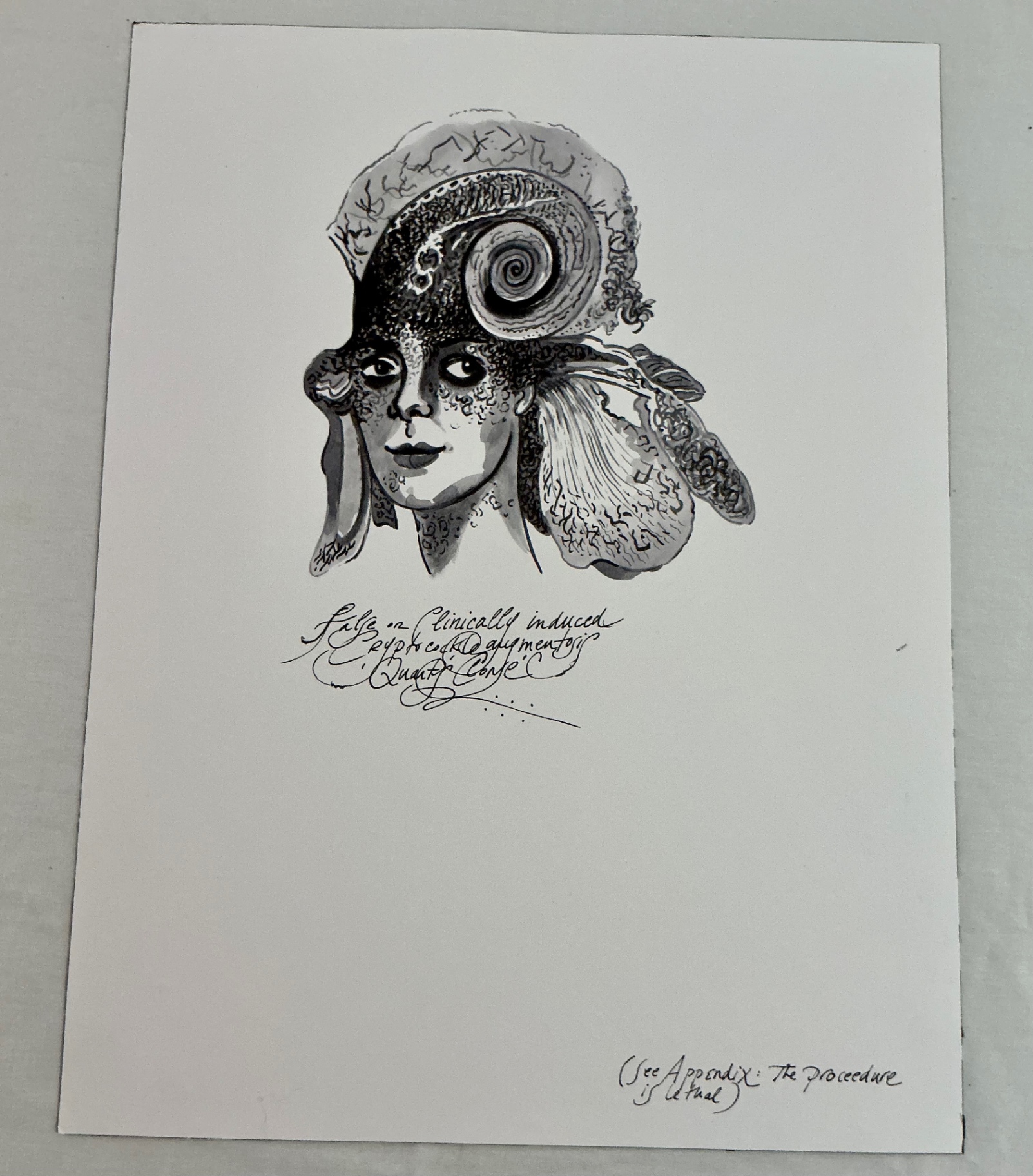Unnumbered prints with multiples clearly for sale - image 7 of 13