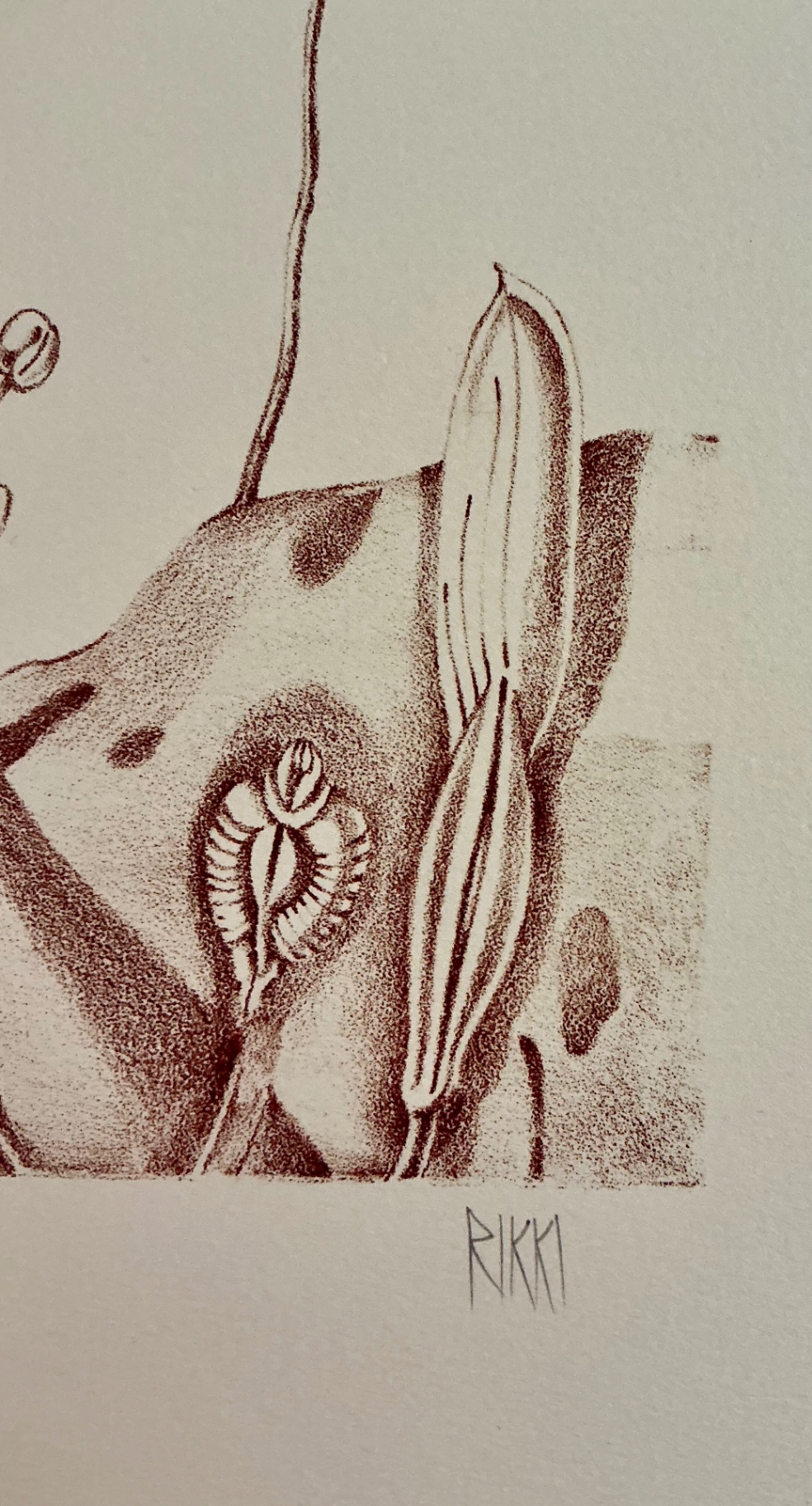 Five numbered prints by Rikki on paper - image 12 of 14