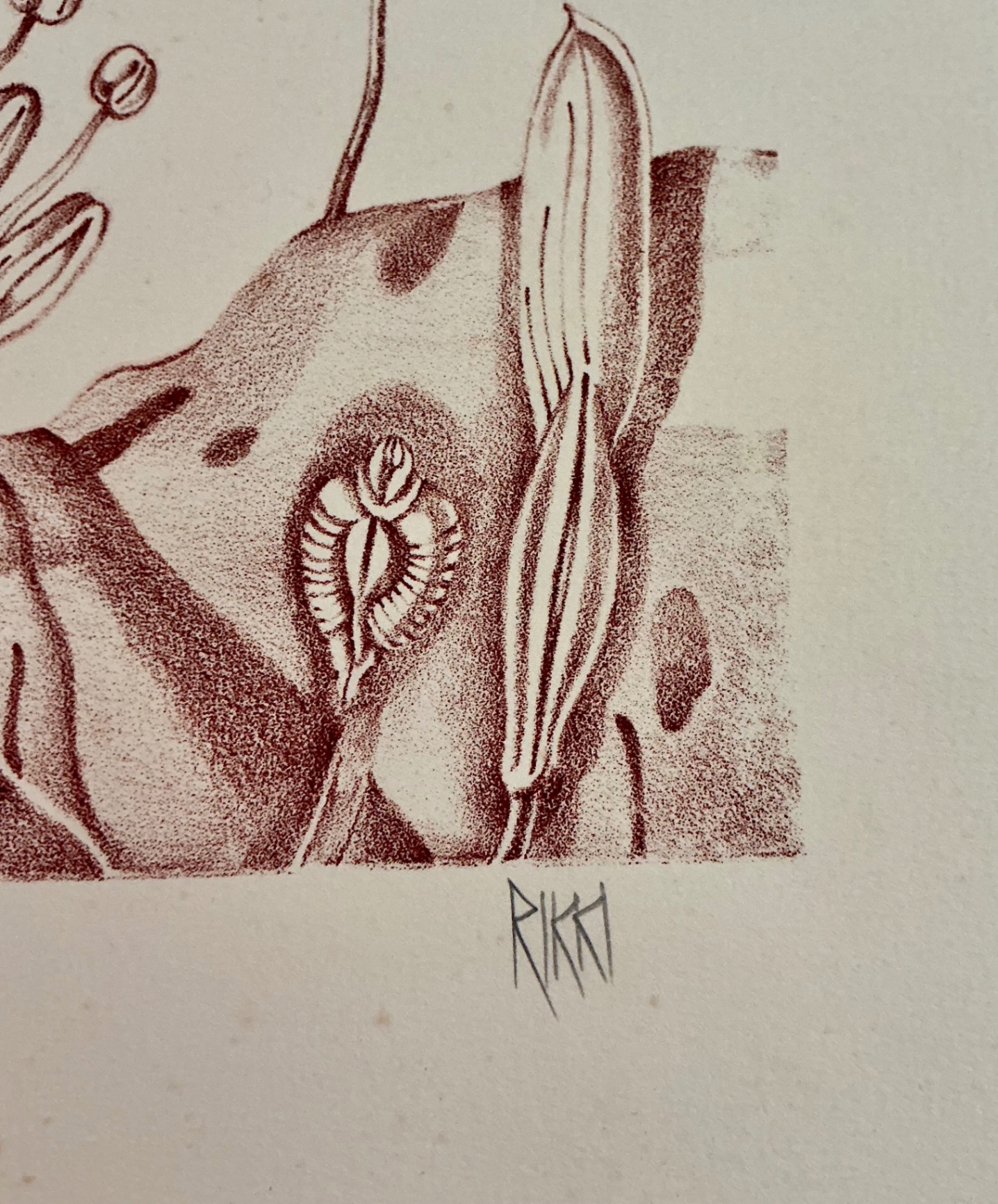 4 Numbered Prints by Rikki on paper - image 6 of 12