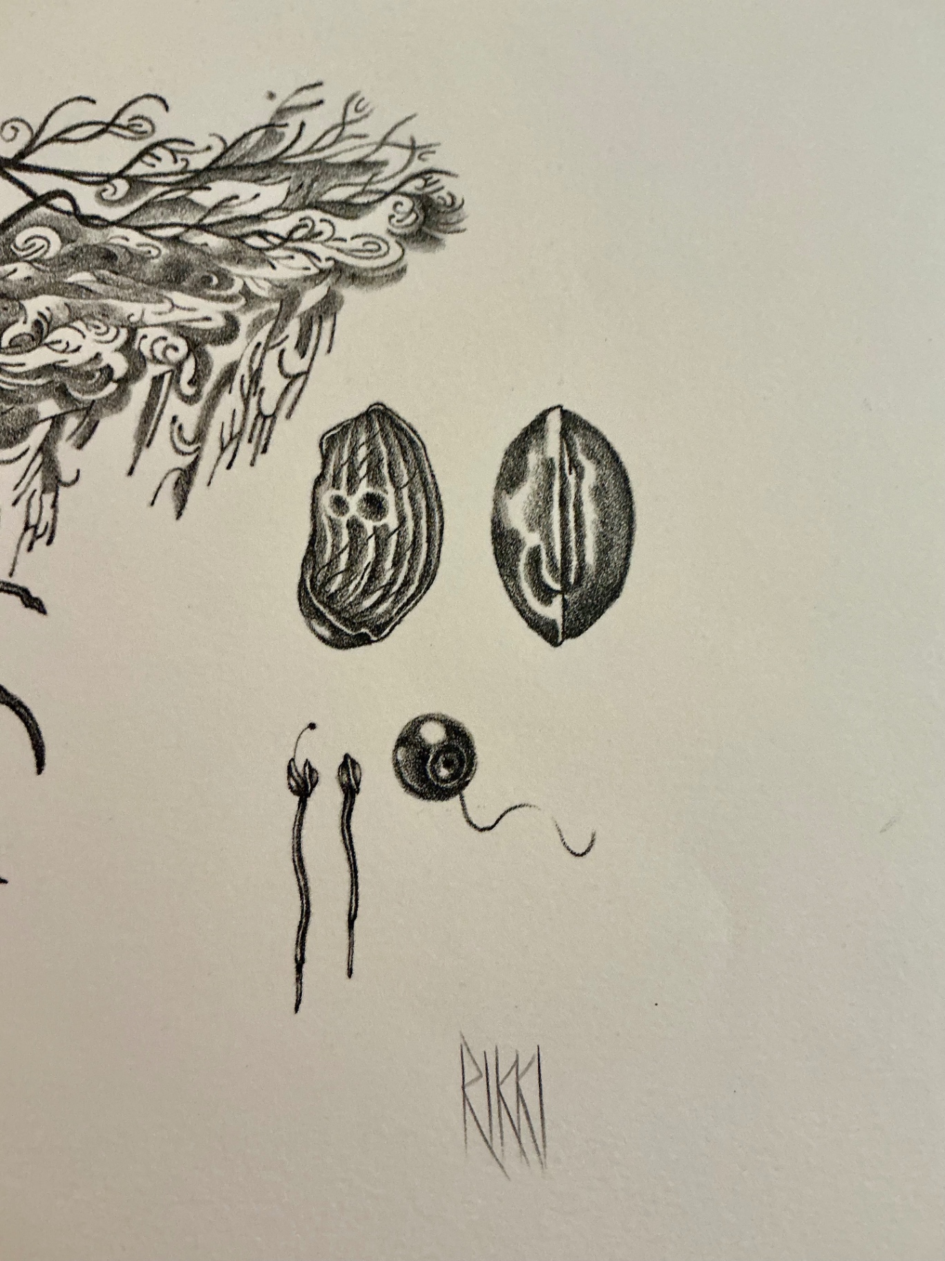 Five More numbered prints by Rikki on paper - image 10 of 12