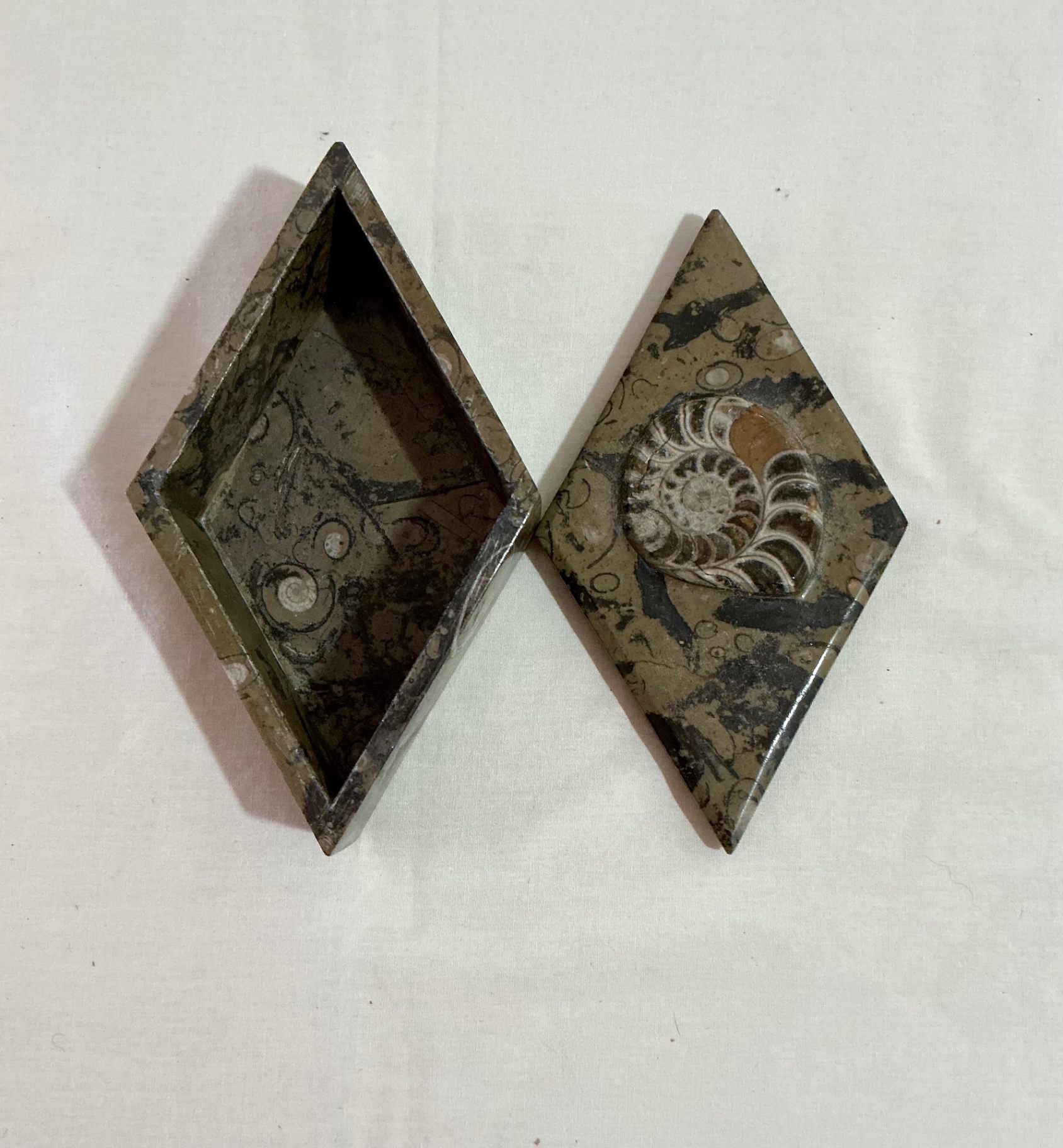 Shell Art and shell collection - image 10 of 12