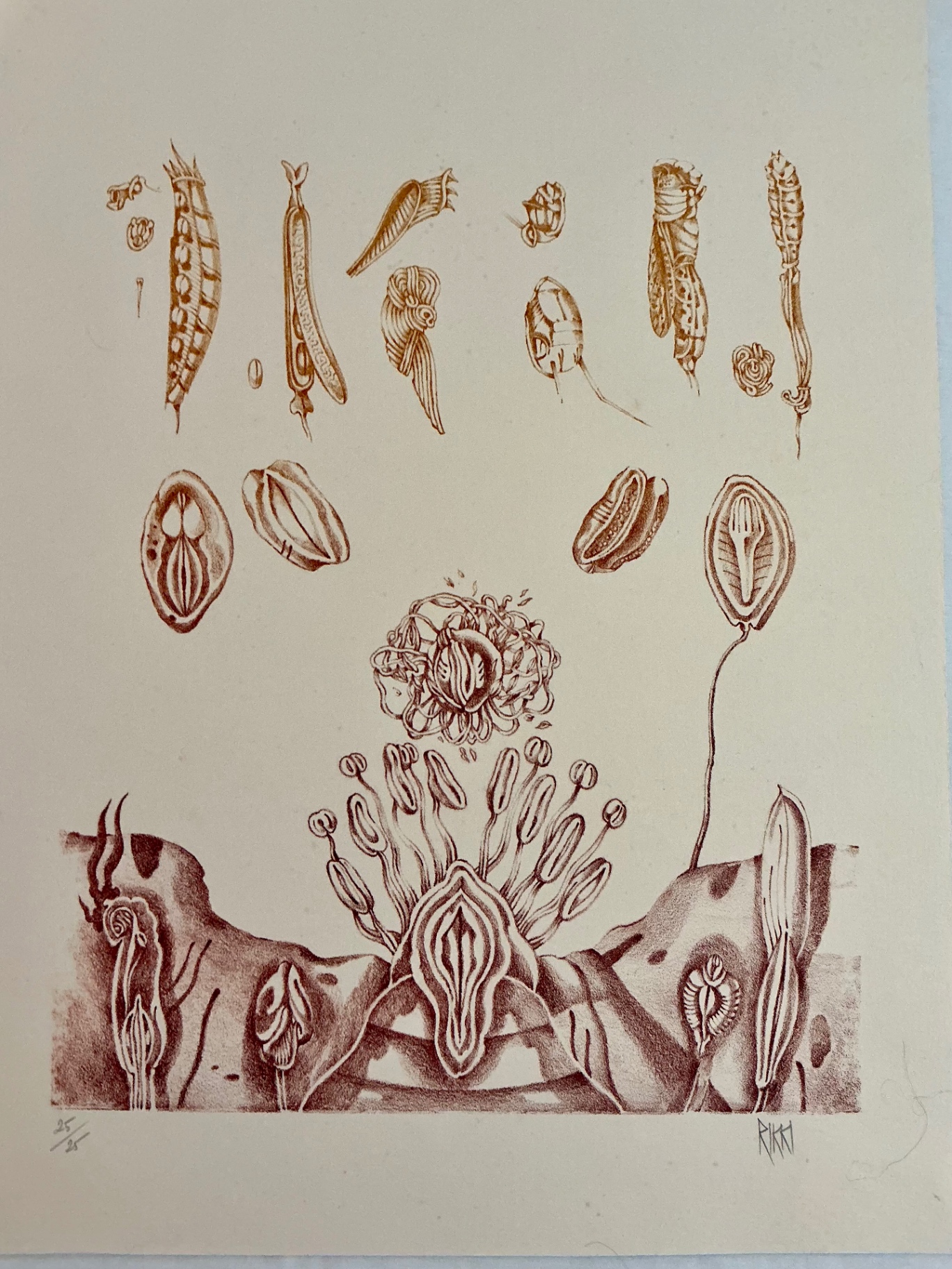 4 Numbered Prints by Rikki on paper - image 4 of 12