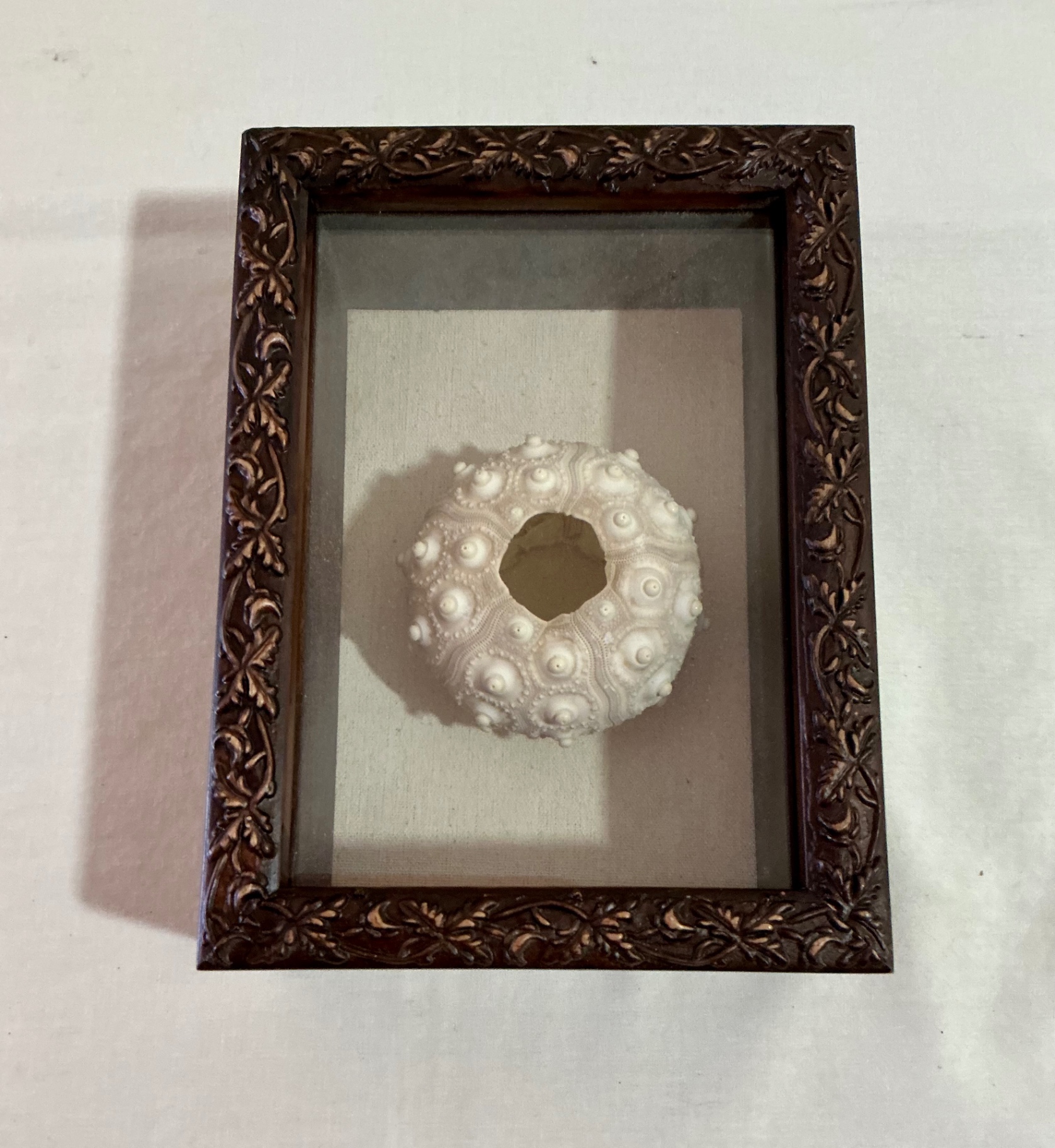 Shell Art and shell collection - image 7 of 12