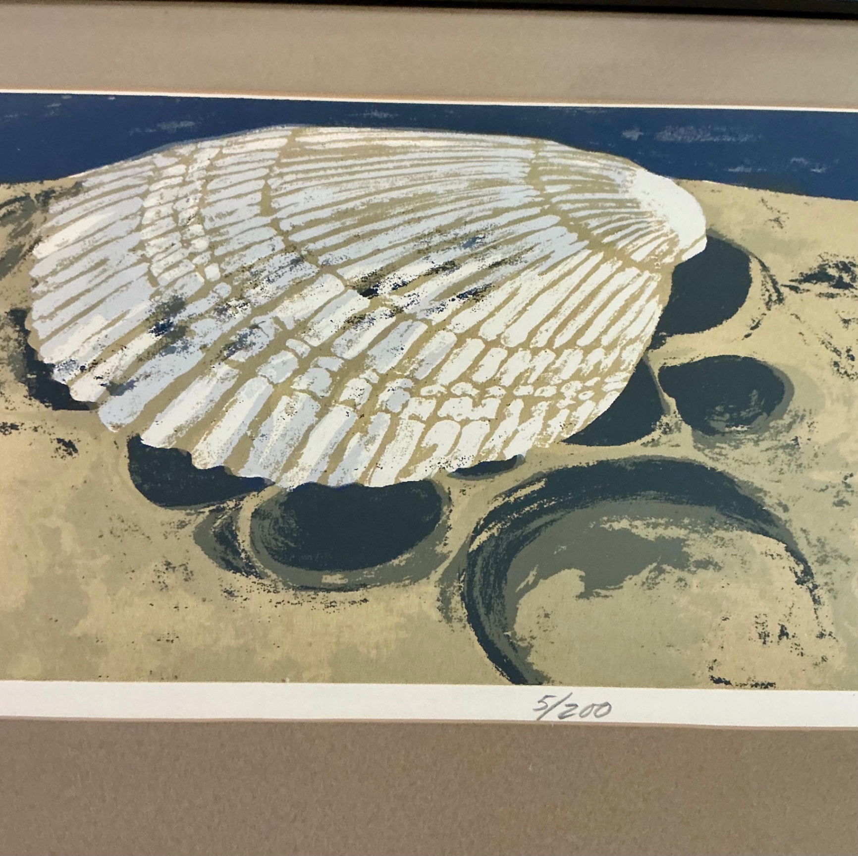 Shell Art and shell collection - image 5 of 12