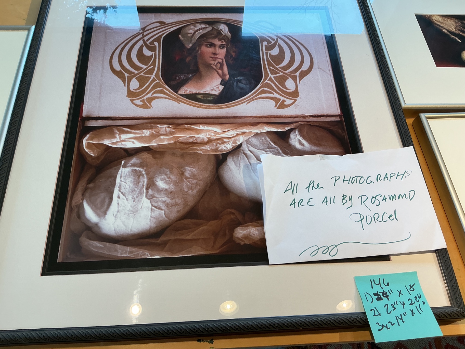 4 Framed photos by Rosamond Purcell - image 2 of 7