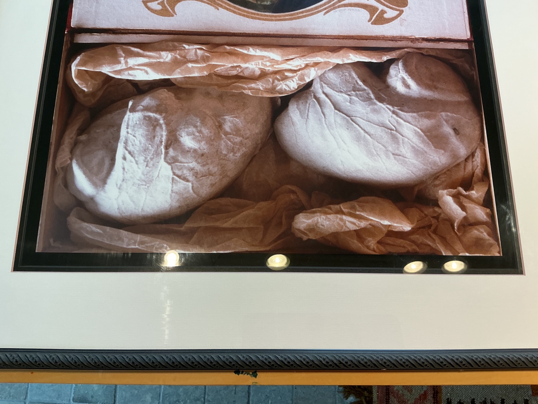 4 Framed photos by Rosamond Purcell - image 5 of 7