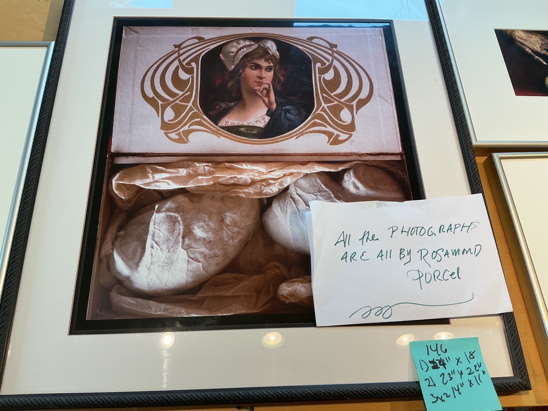 4 Framed photos by Rosamond Purcell - image 1 of 7
