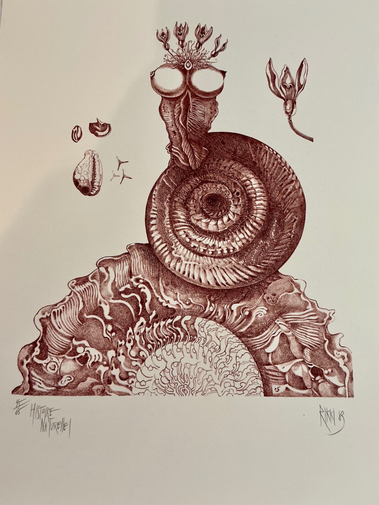 Four numbered prints on paper from Rikki - image 2 of 13