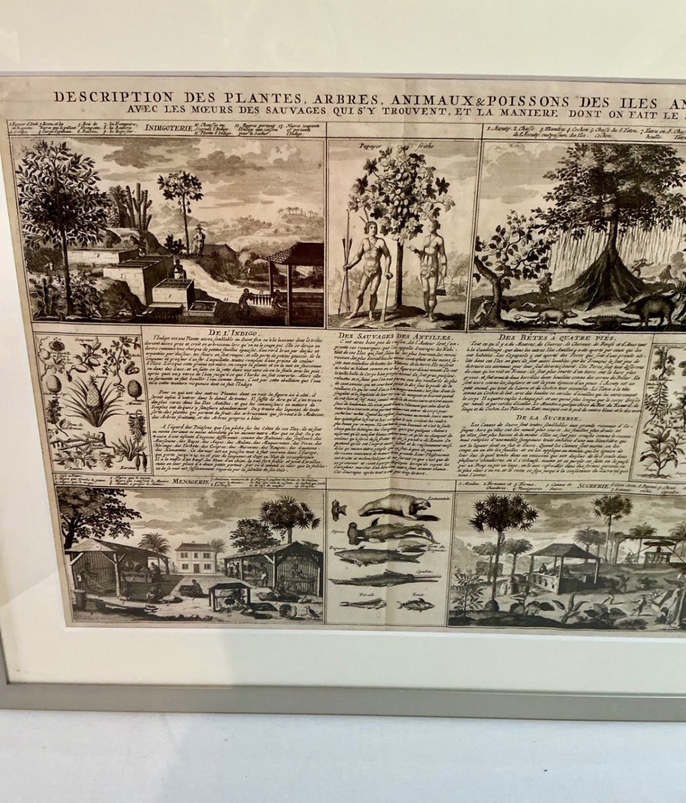 Framed Ephemera - image 4 of 9