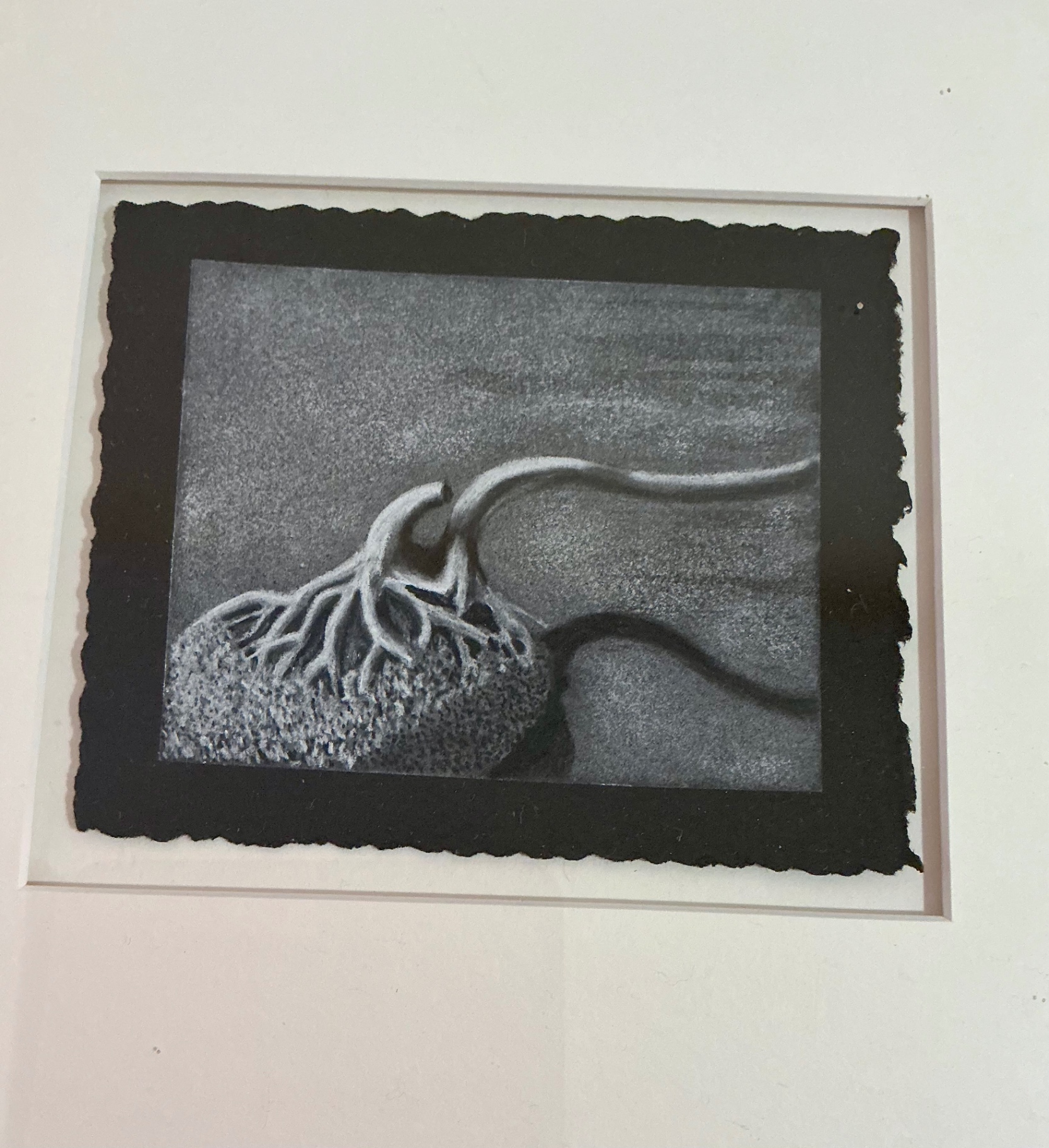 3 Unique Framed Artwork, two autographed by artist - image 10 of 12