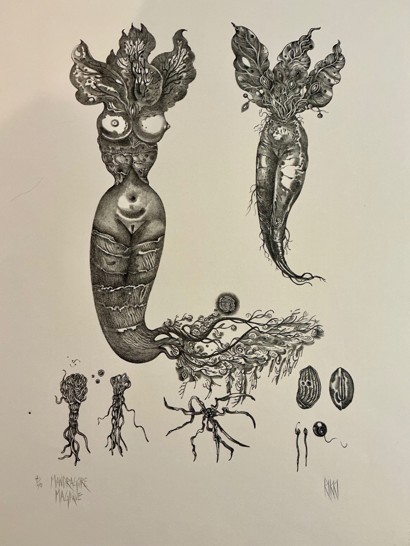 Five More numbered prints by Rikki on paper - image 8 of 12