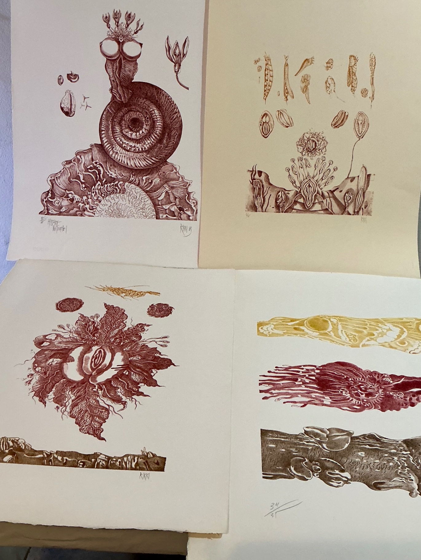 Four numbered prints on paper from Rikki - image 1 of 13
