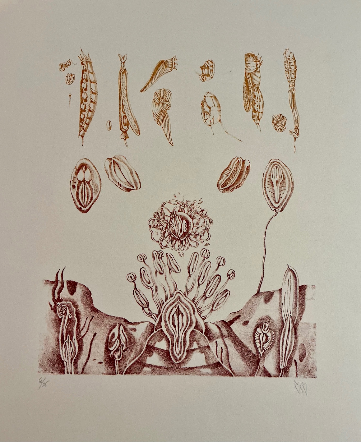 Four numbered prints on paper from Rikki - image 5 of 13