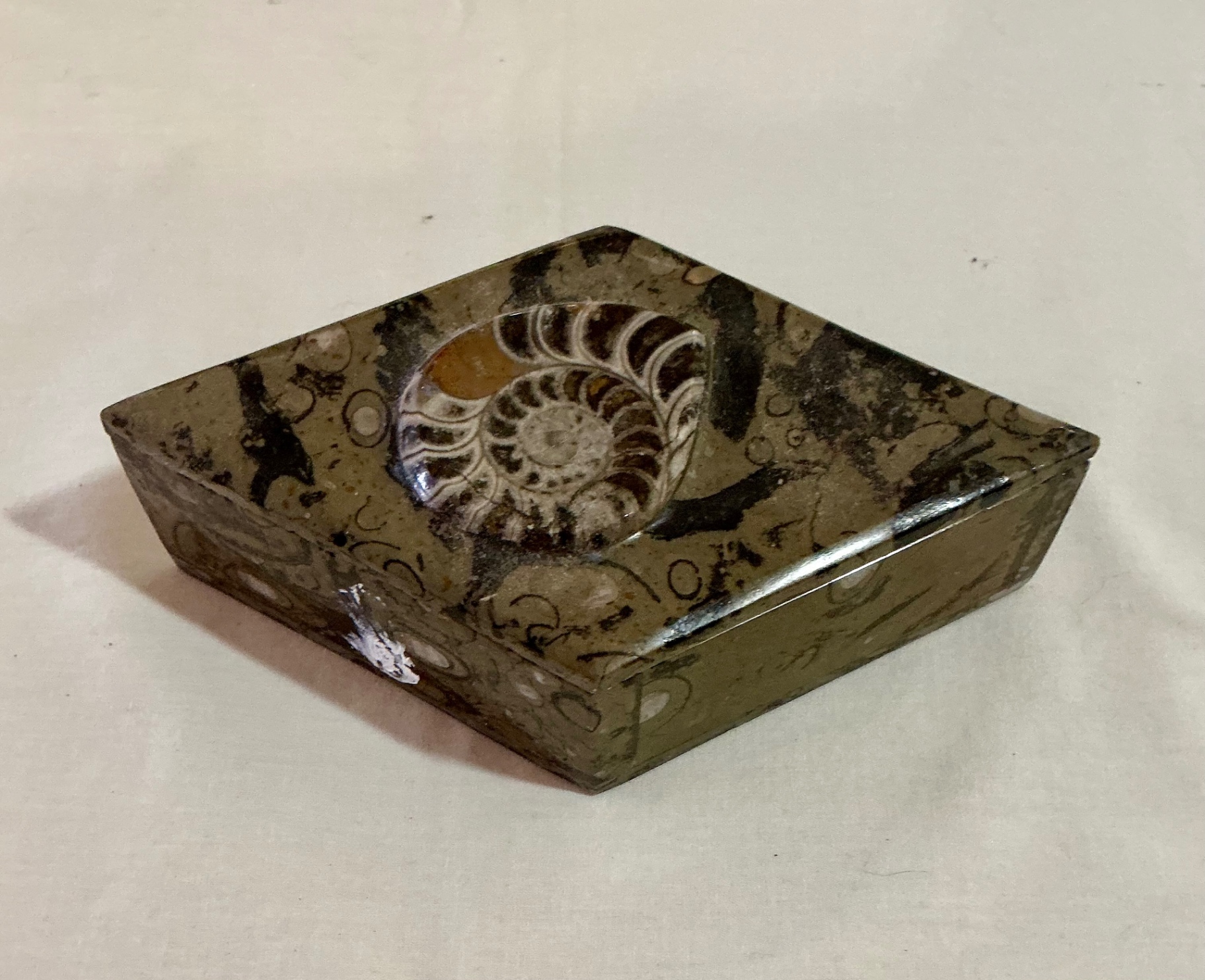 Shell Art and shell collection - image 9 of 12
