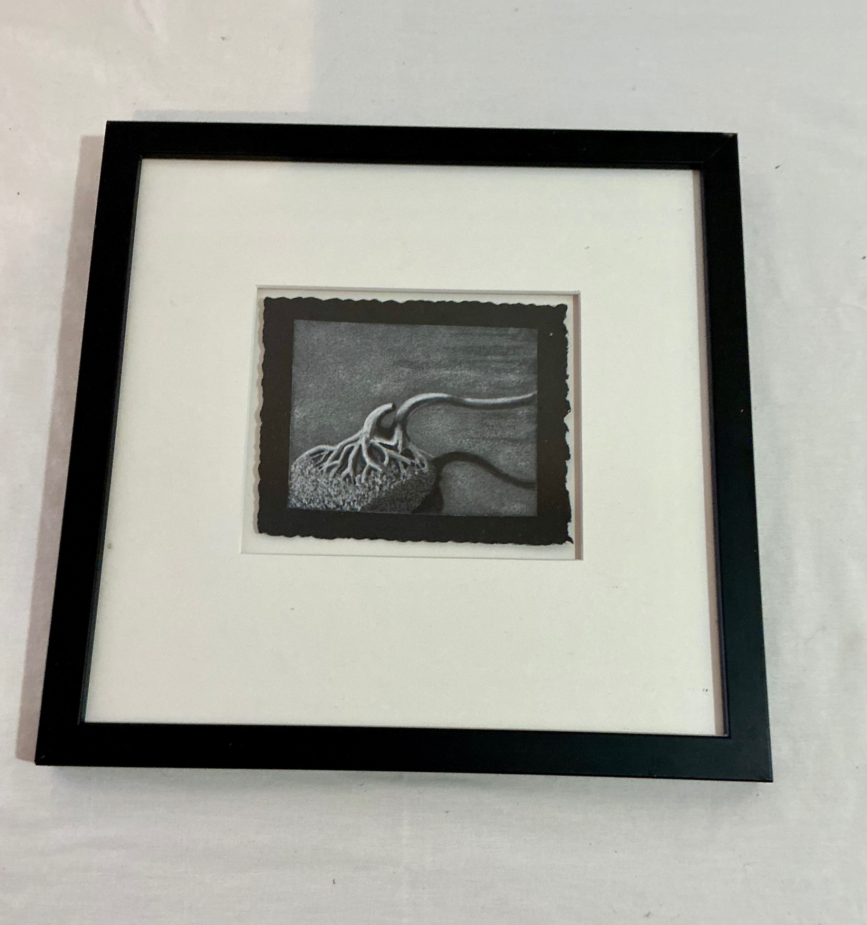 3 Unique Framed Artwork, two autographed by artist - image 9 of 12