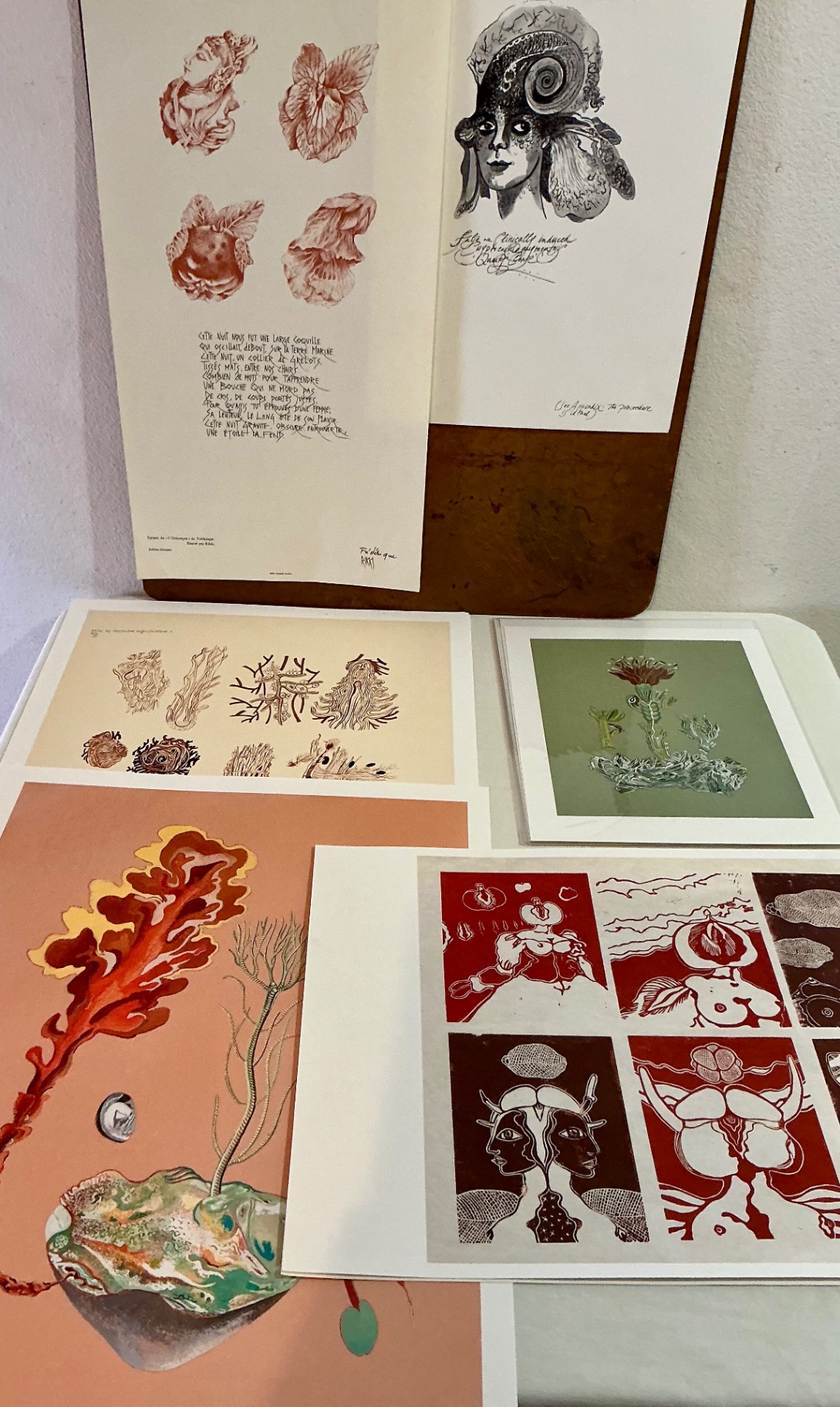 Unnumbered prints with multiples clearly for sale - image 1 of 13
