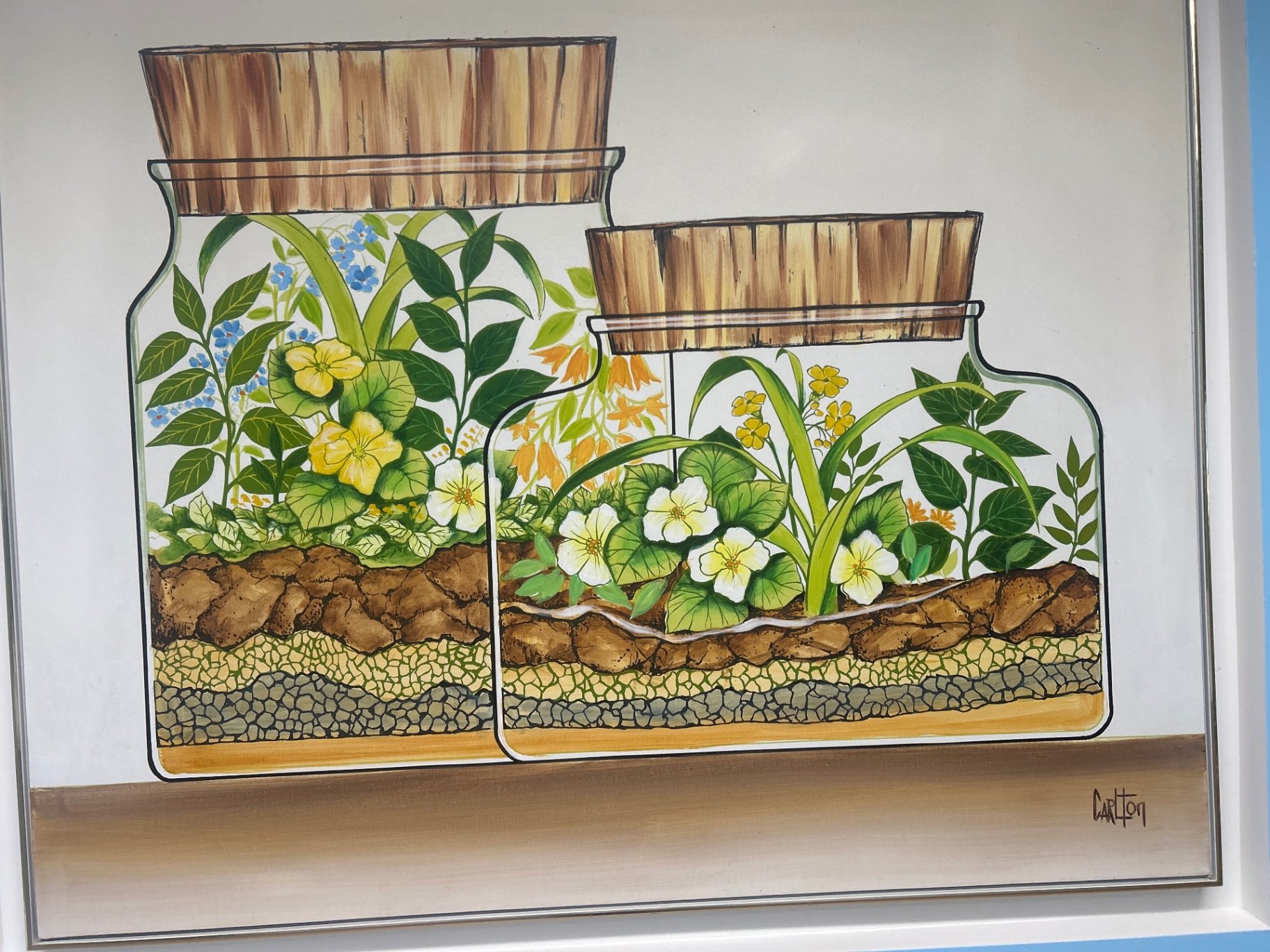 Large painting of terrariums - image 1 of 4