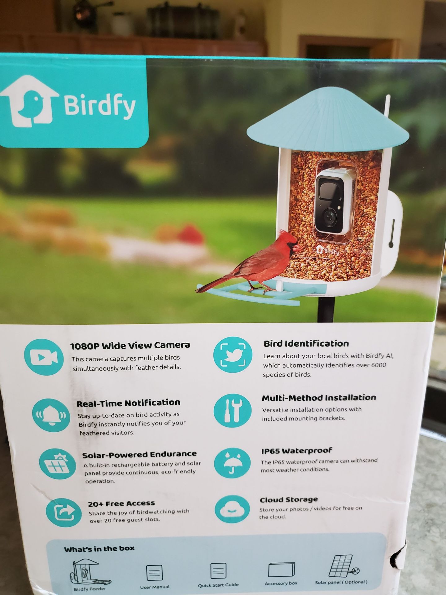 Birdfy Bird Feeder - image 3 of 8