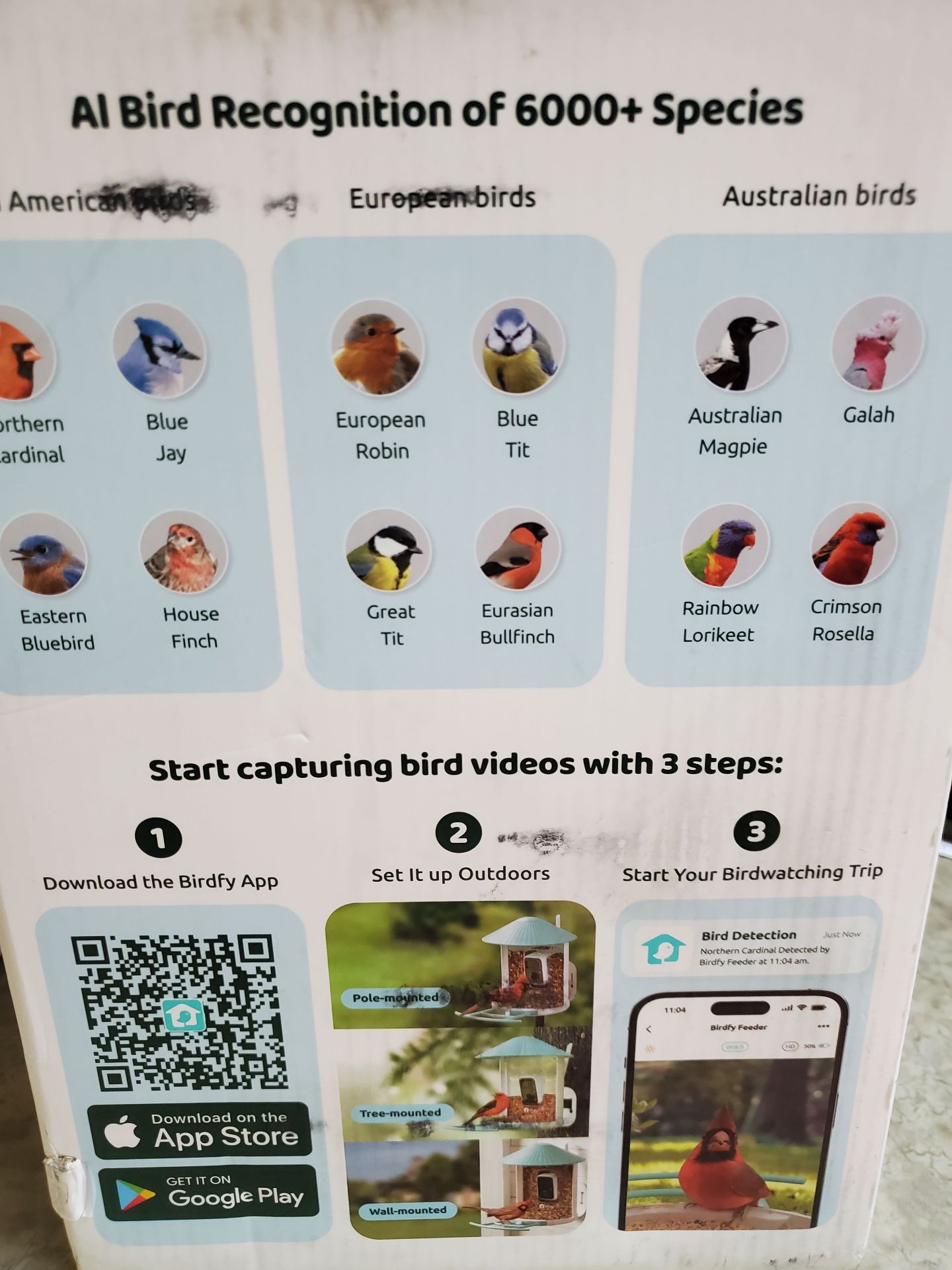 Birdfy Bird Feeder - image 4 of 8
