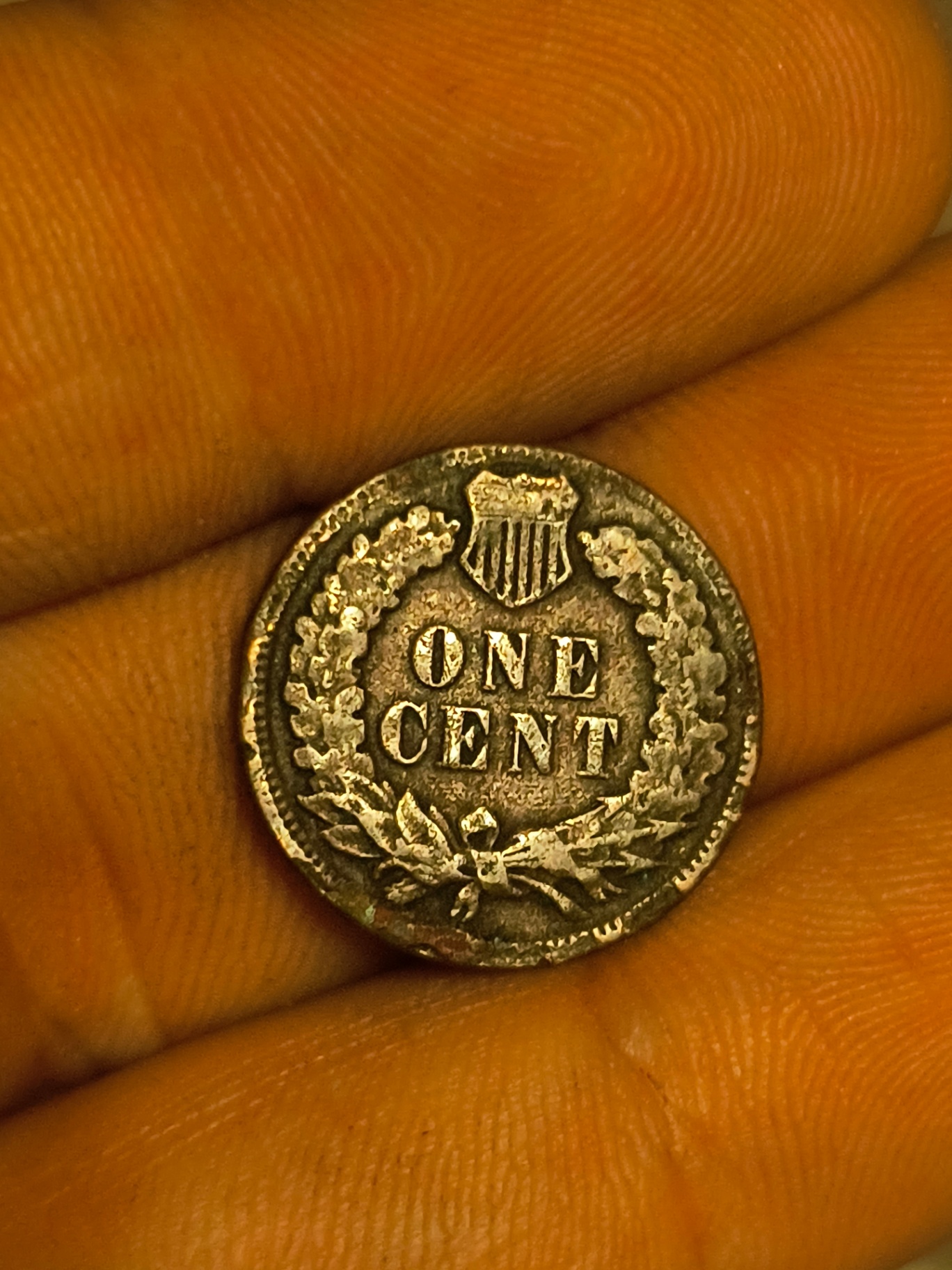 US indian Head Cent coin - image 1 of 2
