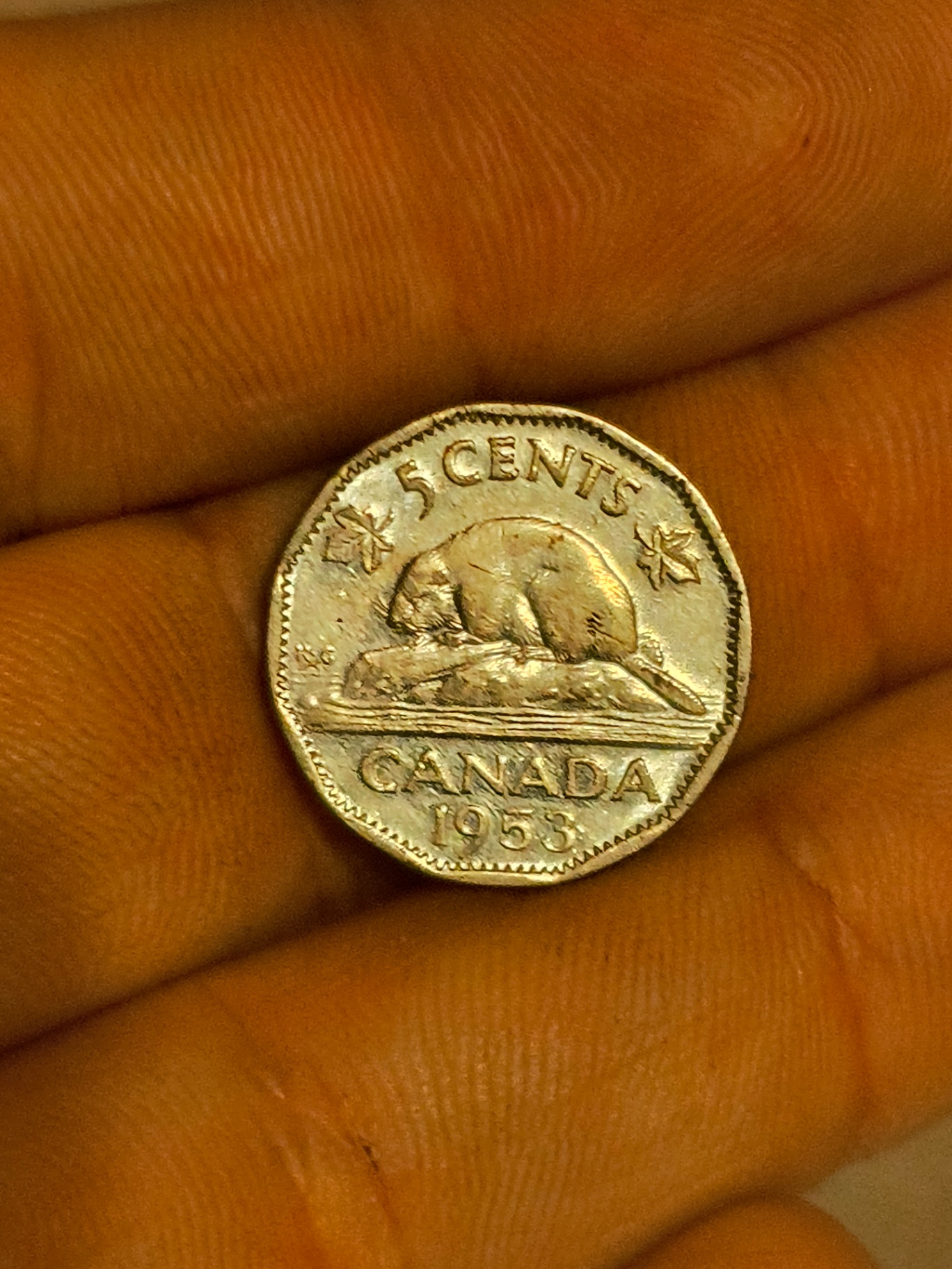 Canadian 5-cent coin (1953) with beaver reverse and Queen Elizabeth II obverse - image 1 of 2