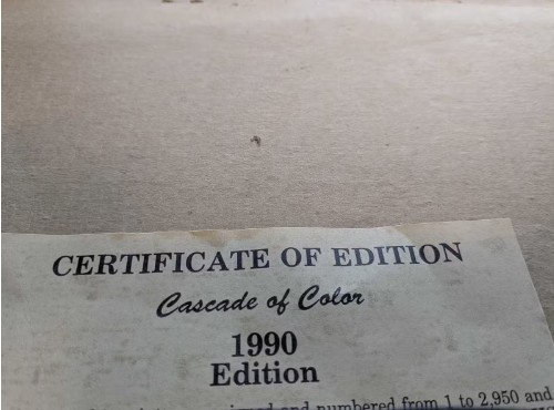 Framed Limited-Edition Floral Lithograph, Cascade of Color (1990) ***PLUS 2 NEW CANVAS - image 2 of 4